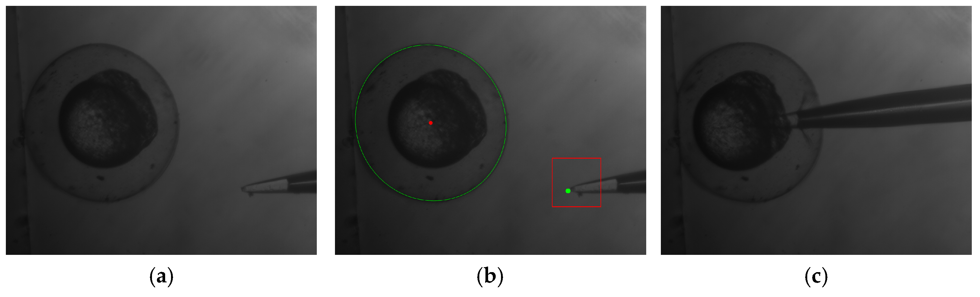 Micromachines 07 00104 g012