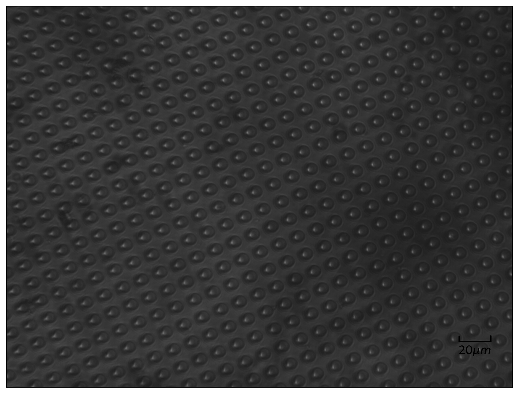 Micromachines 07 00131 g001