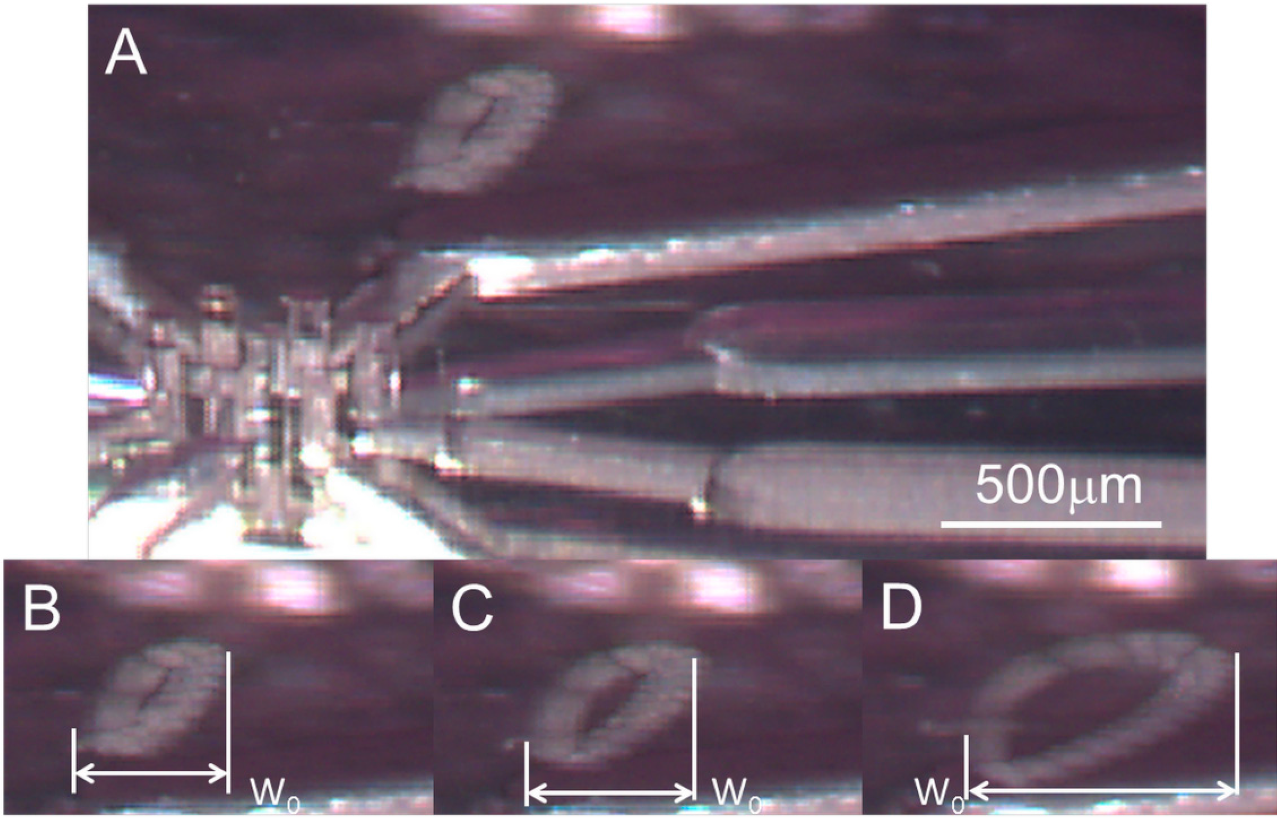 Micromachines 07 00140 g008