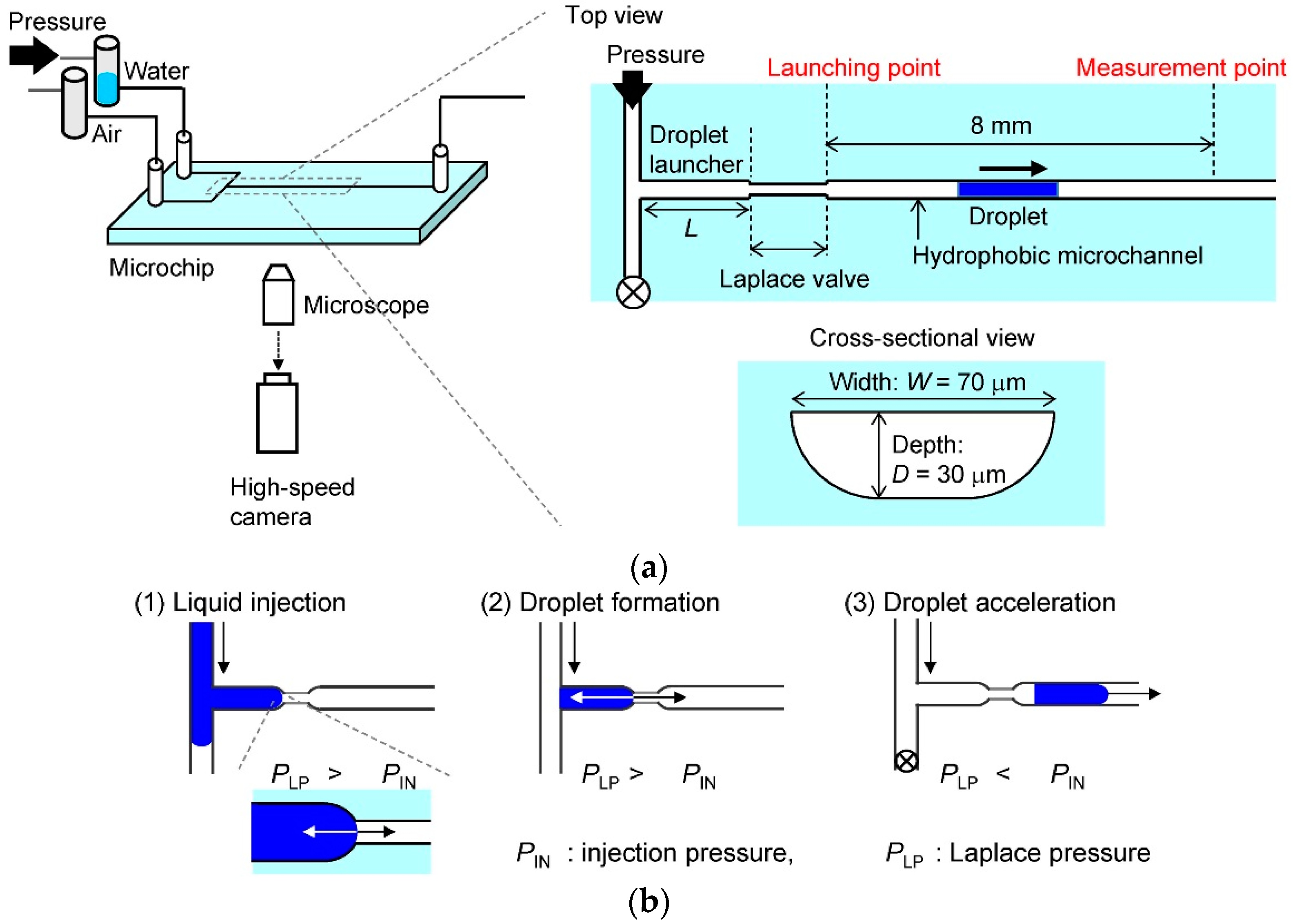 Micromachines 07 00142 g001