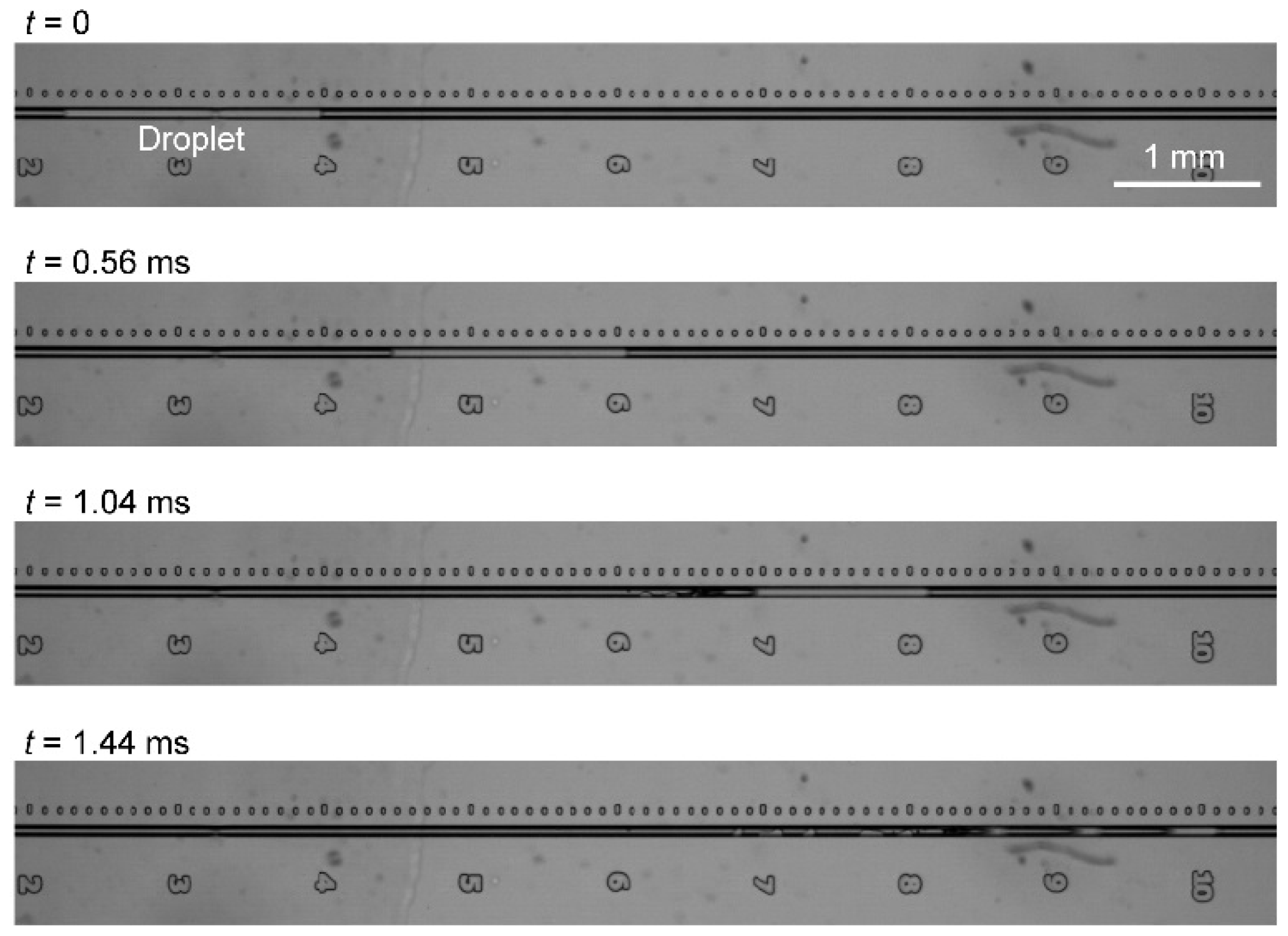 Micromachines 07 00142 g002