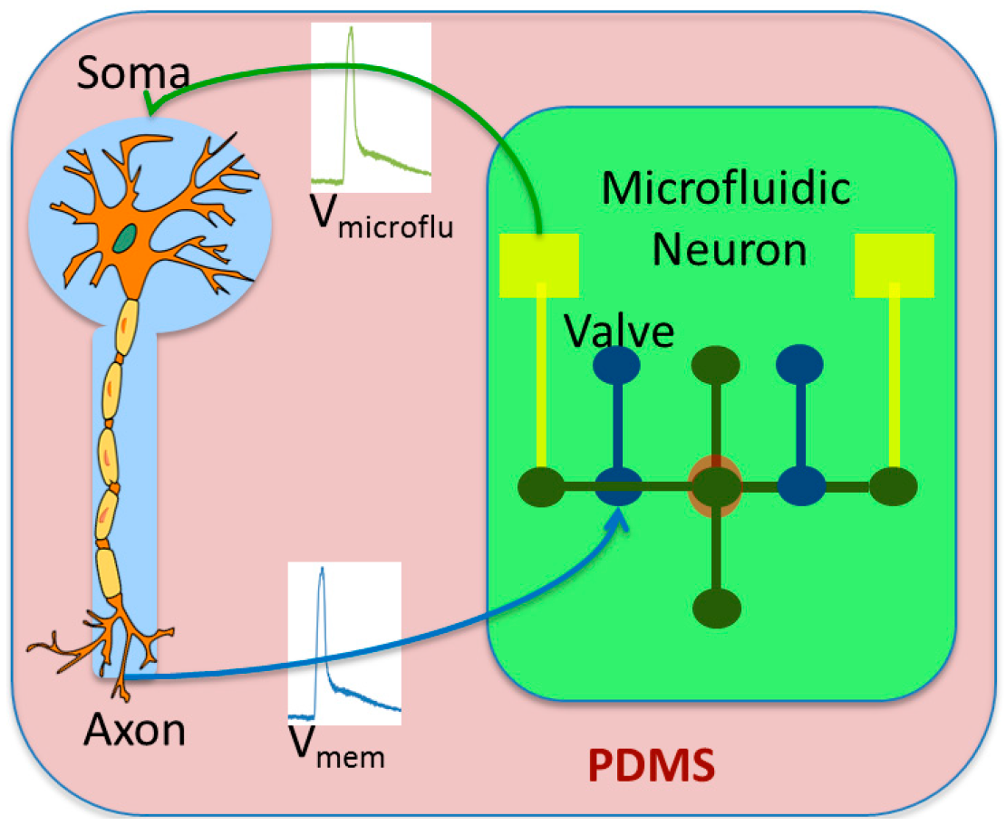 Micromachines 07 00146 g004
