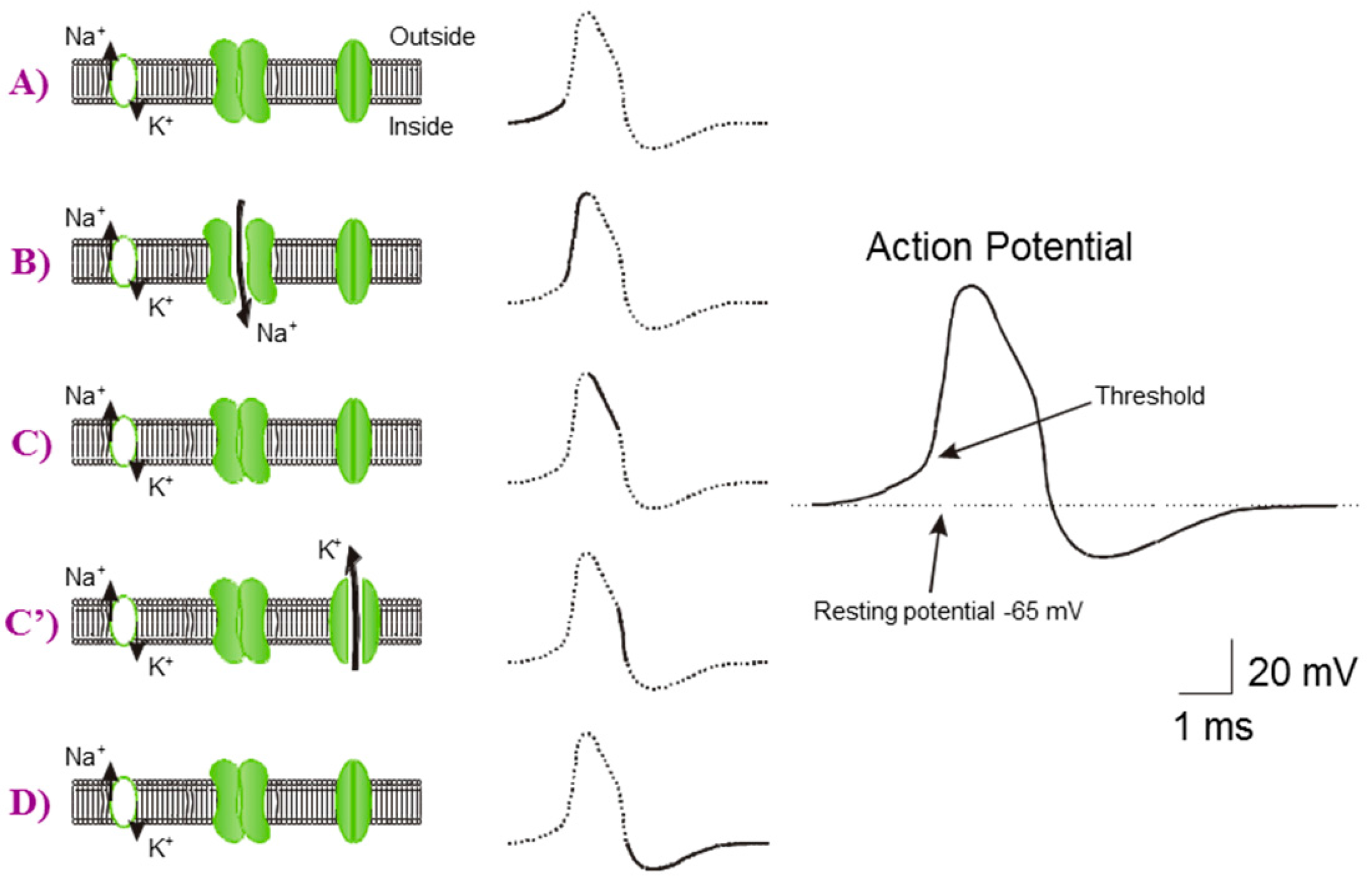 Micromachines 07 00146 g005