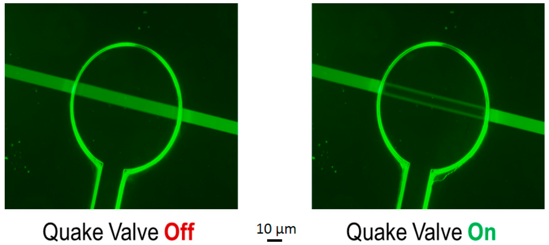 Micromachines 07 00146 g009