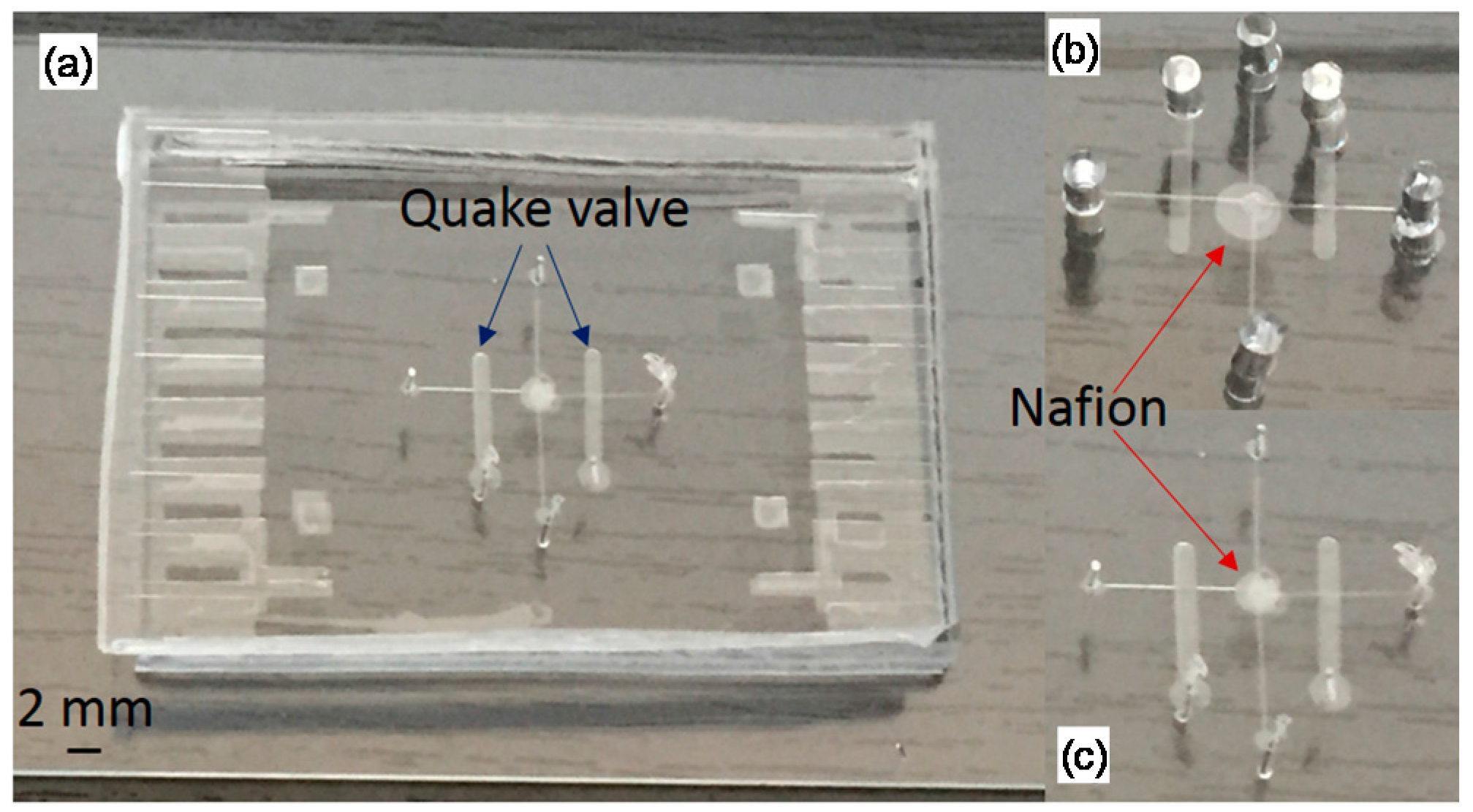 Micromachines 07 00146 g012