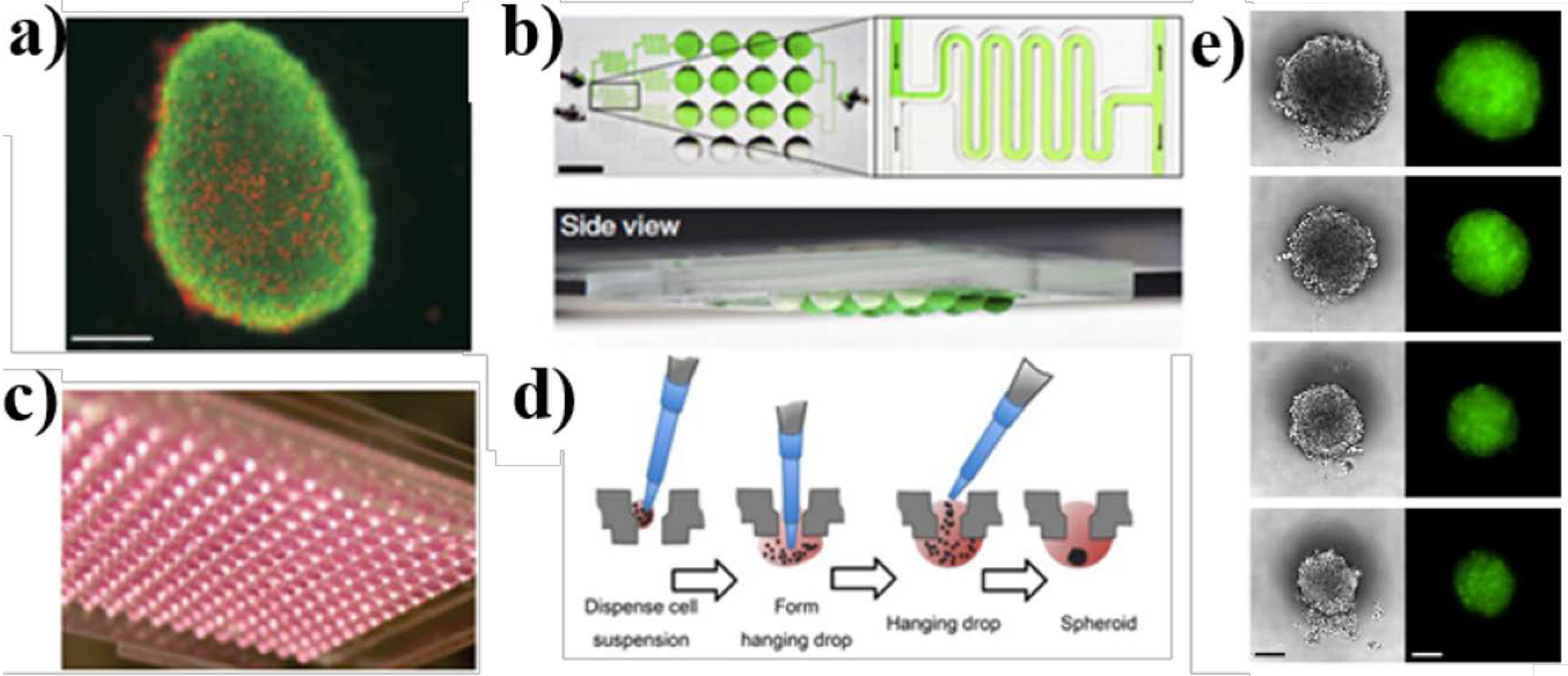 Micromachines 07 00162 g002