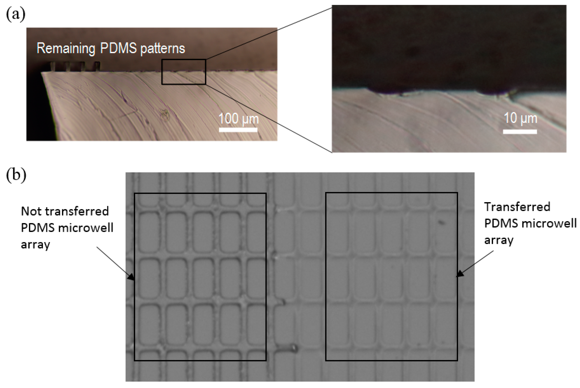Micromachines 07 00173 g007