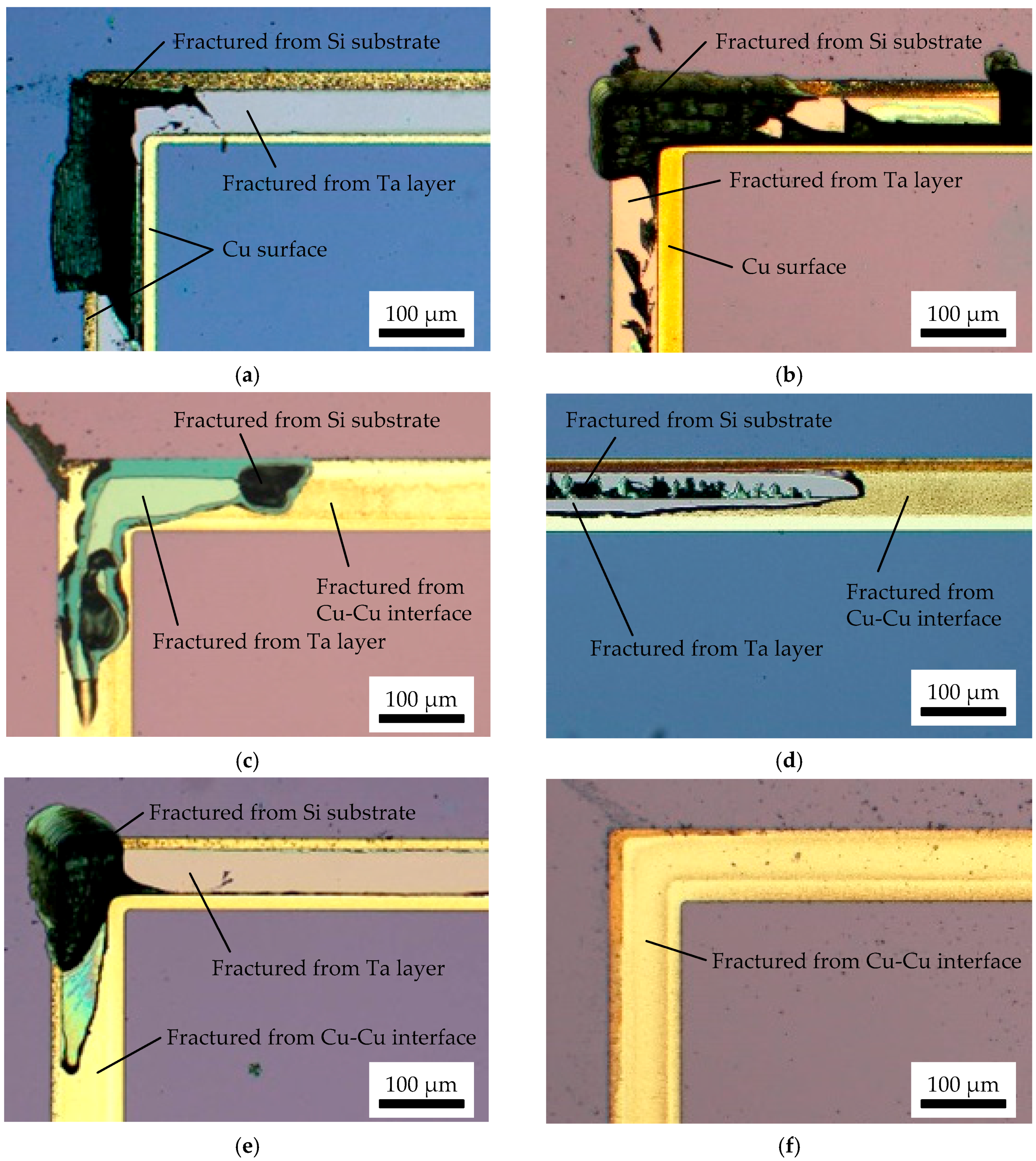 Micromachines 07 00234 g006