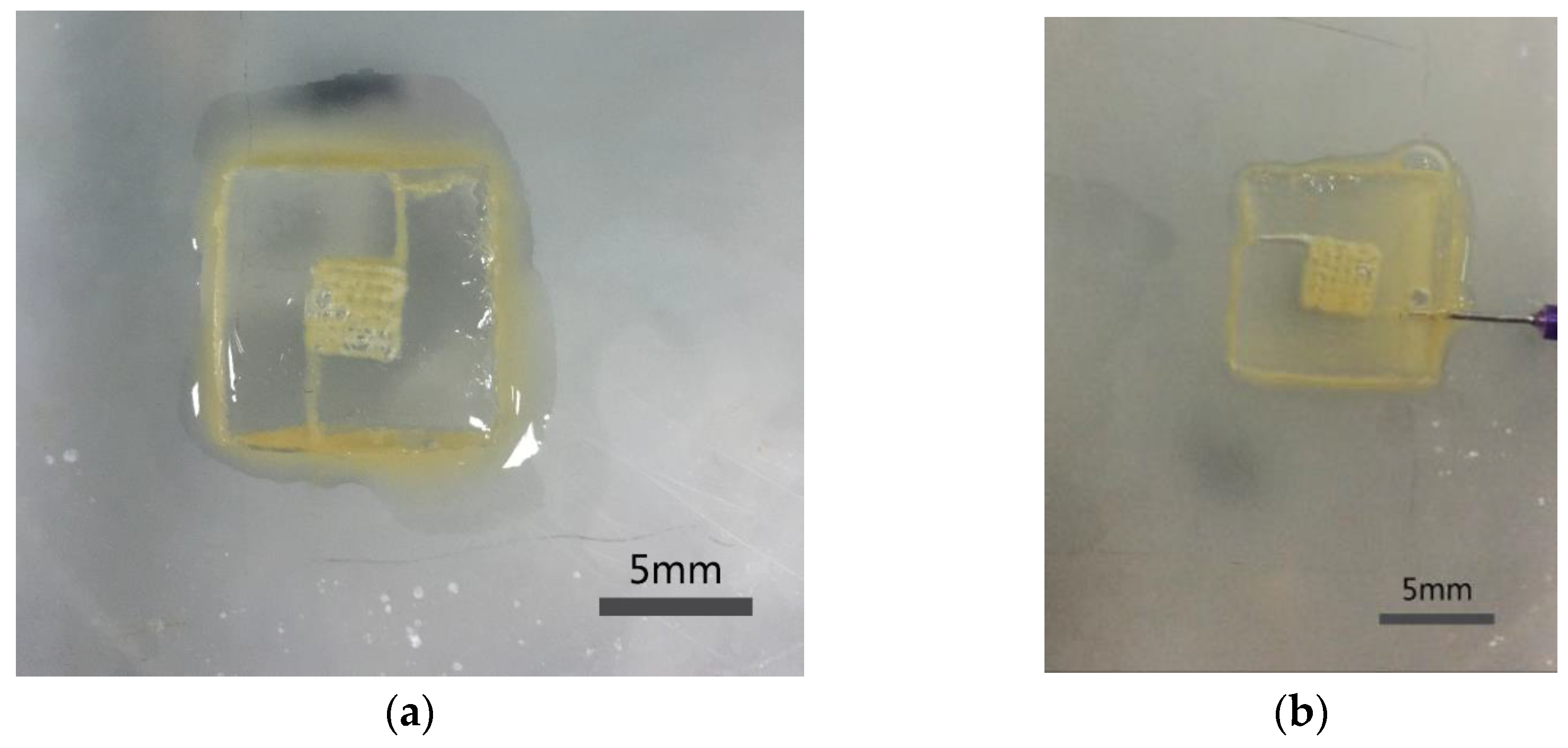 Micromachines 07 00238 g005