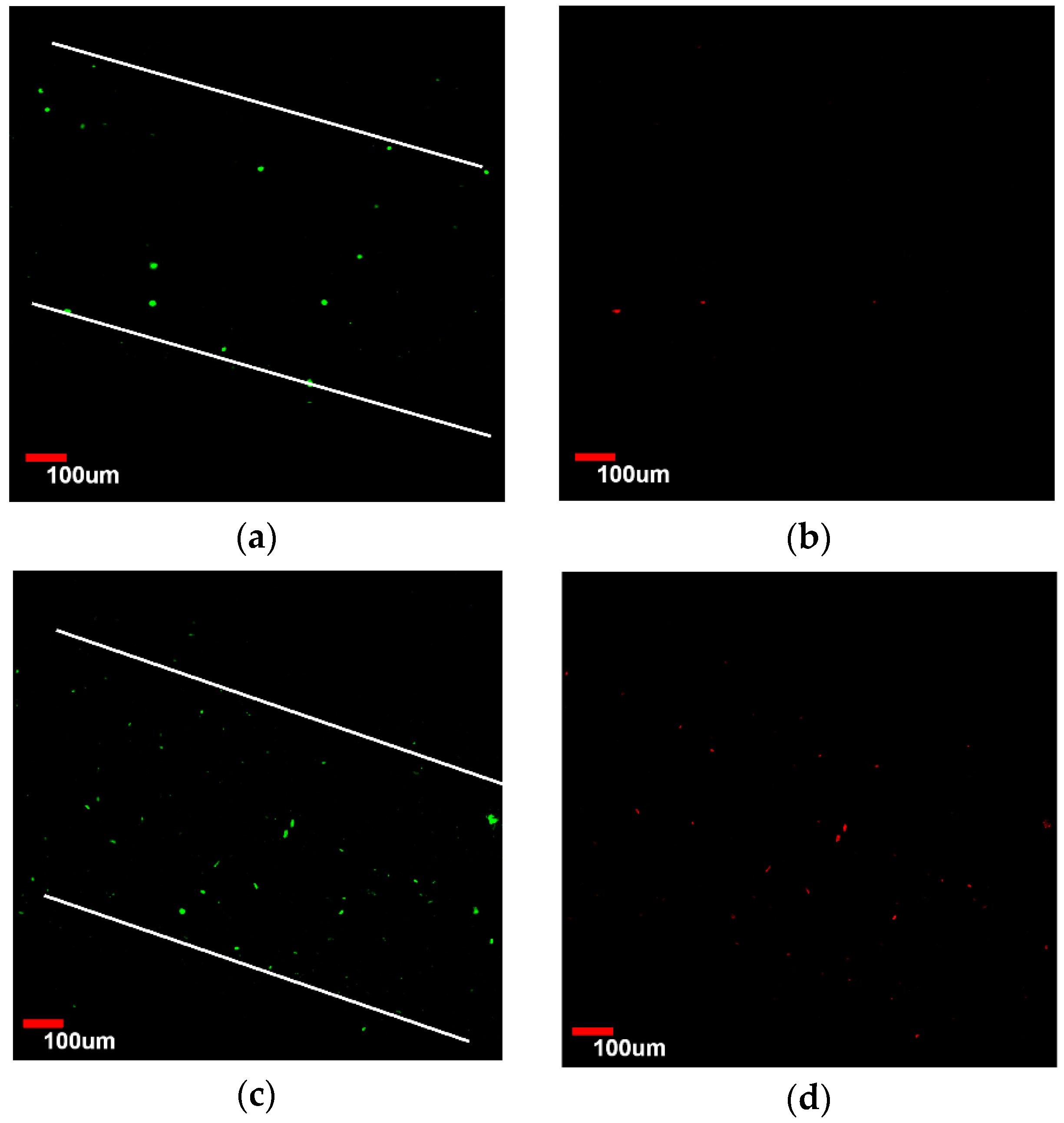 Micromachines 07 00238 g006a