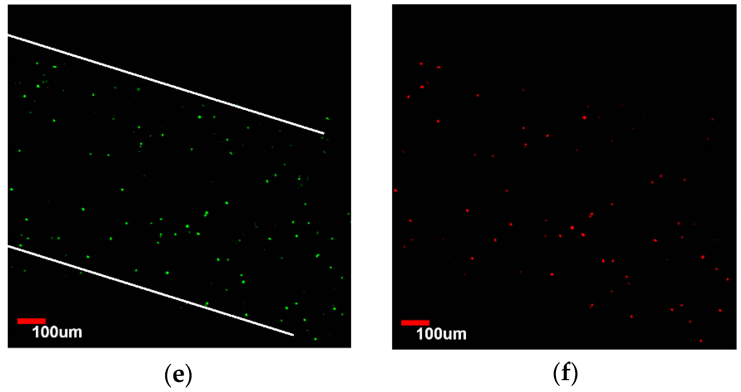 Micromachines 07 00238 g006b