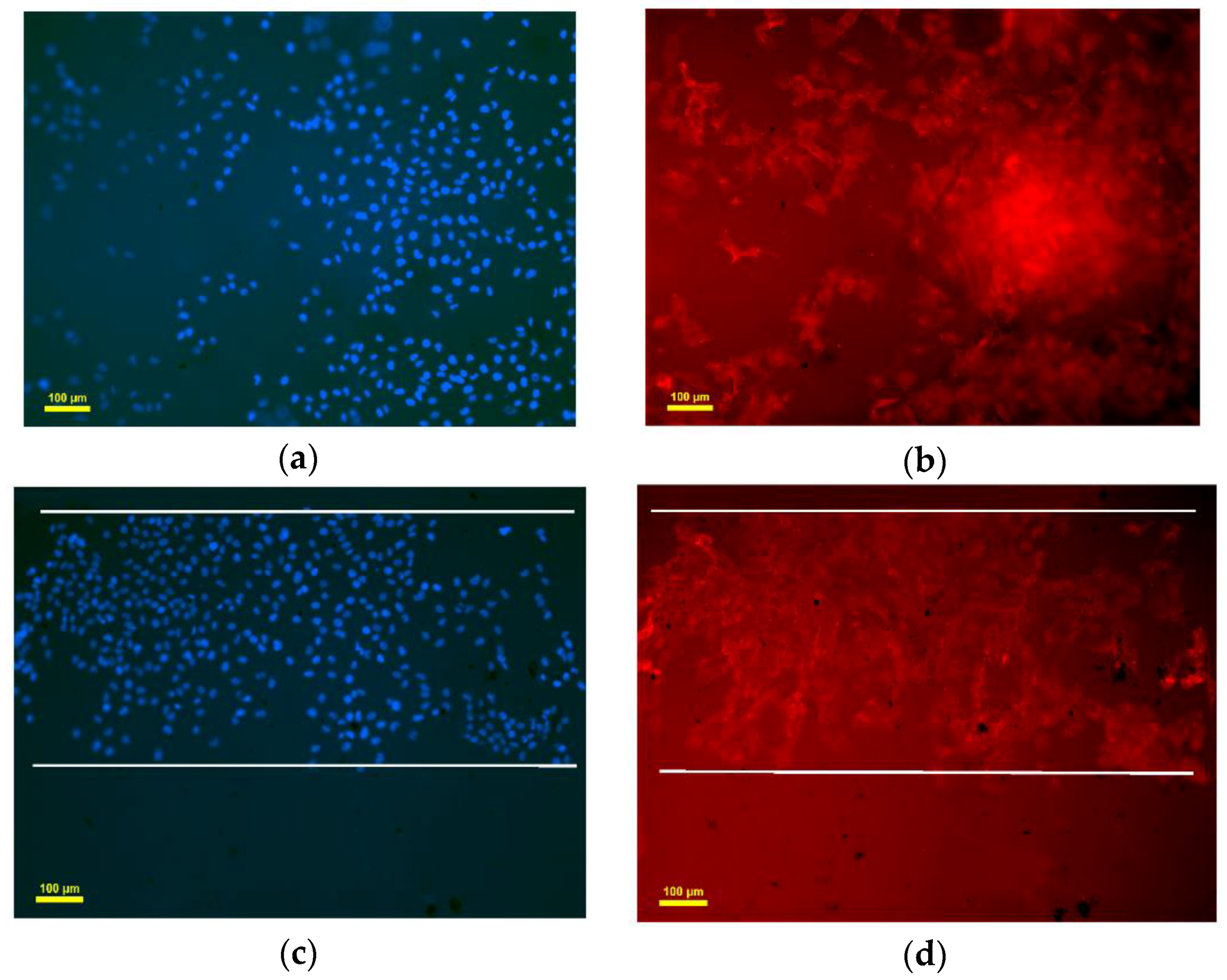 Micromachines 07 00238 g009