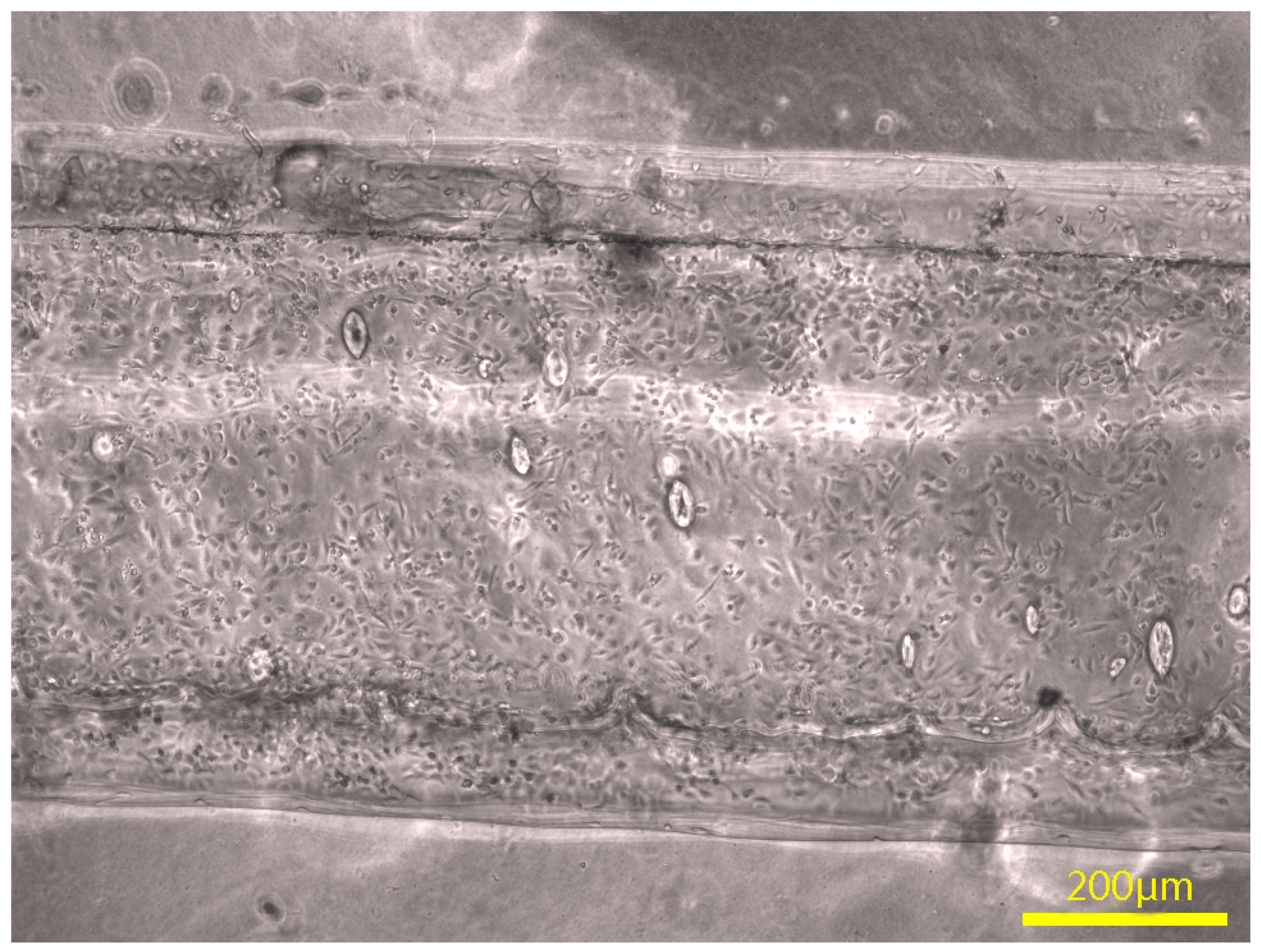 Micromachines 07 00238 g010