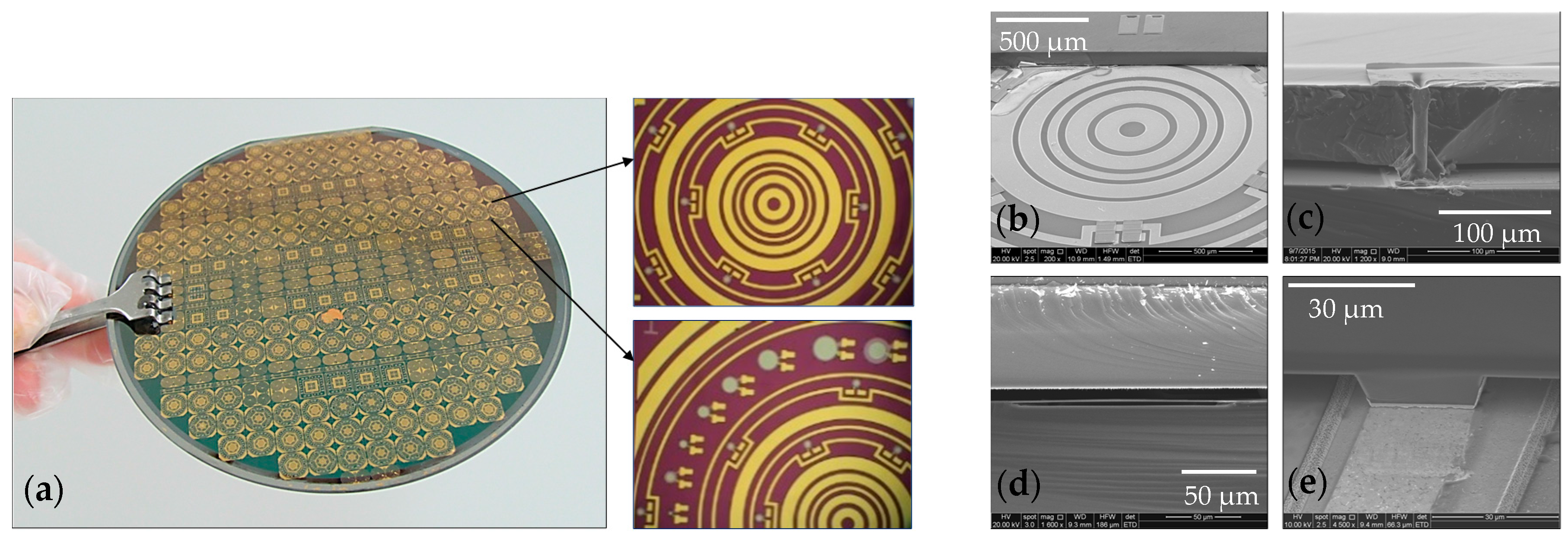 Micromachines 08 00002 g007