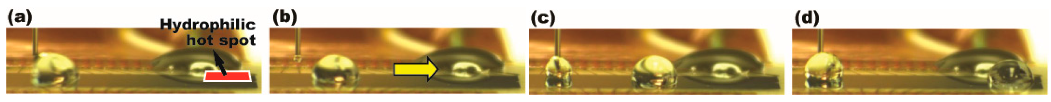 Micromachines 08 00003 g004