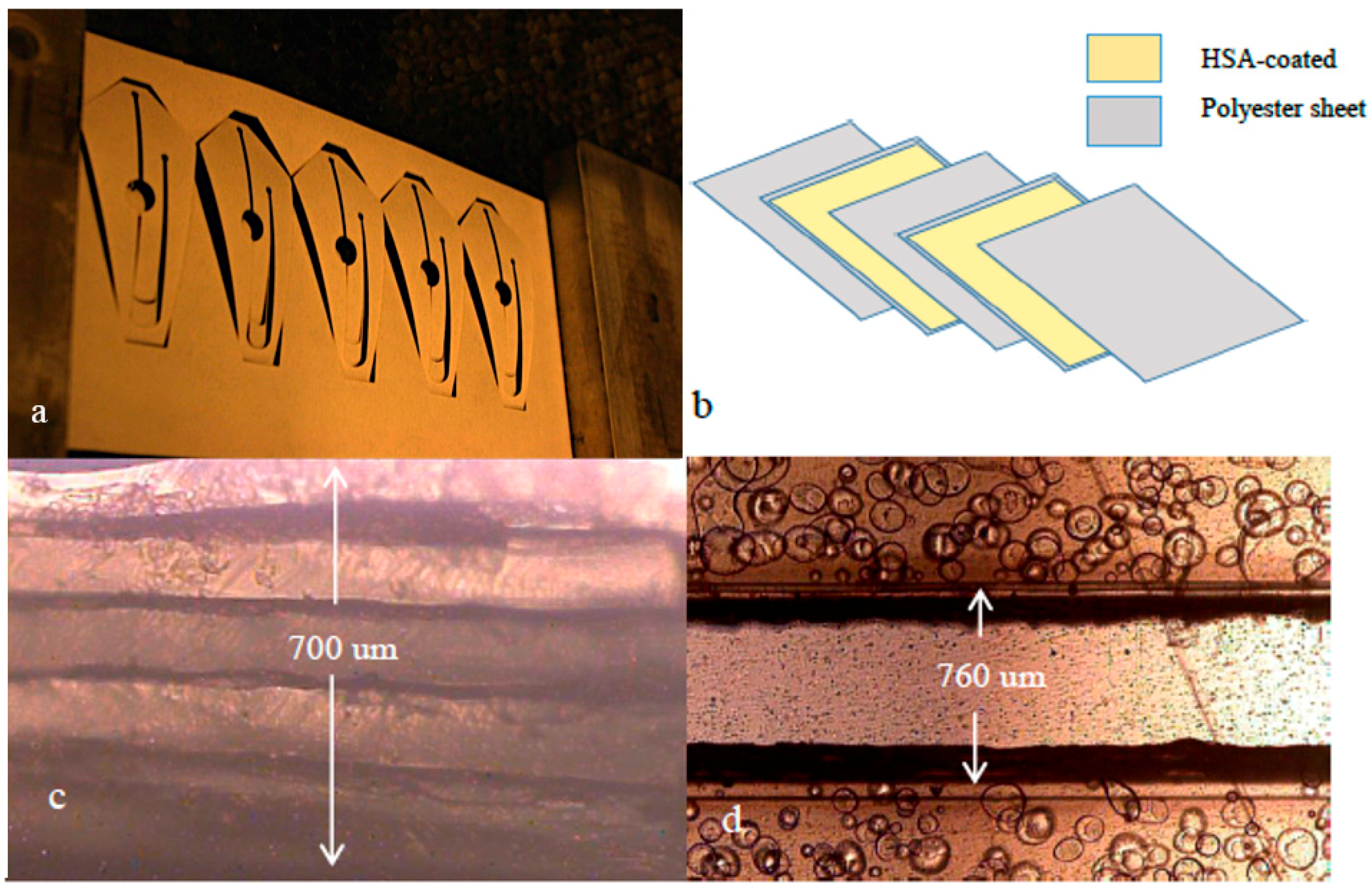 Micromachines 08 00017 g001