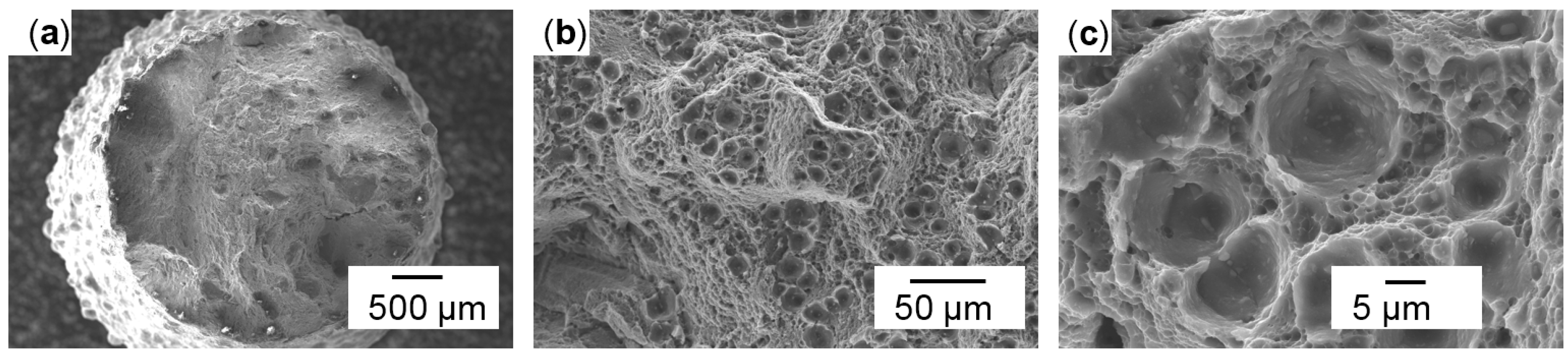 Micromachines 08 00023 g009