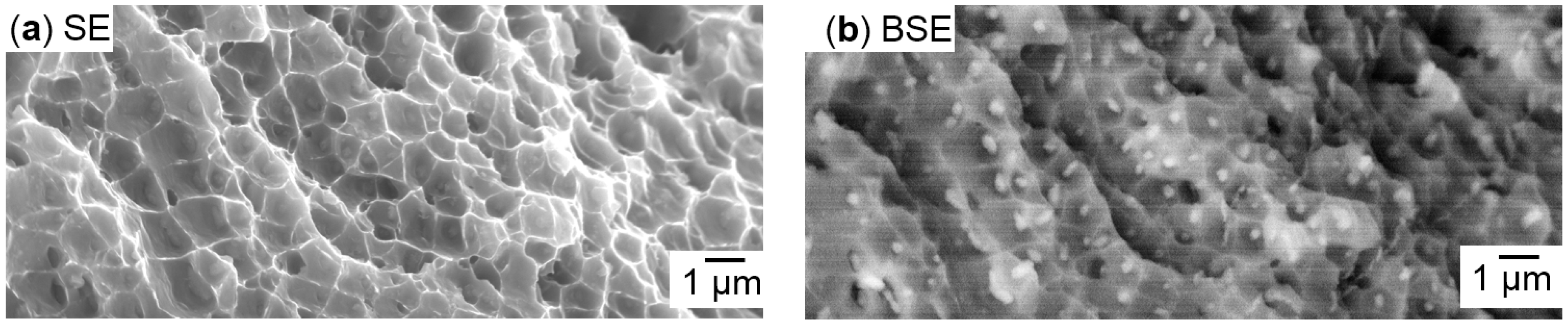 Micromachines 08 00023 g010