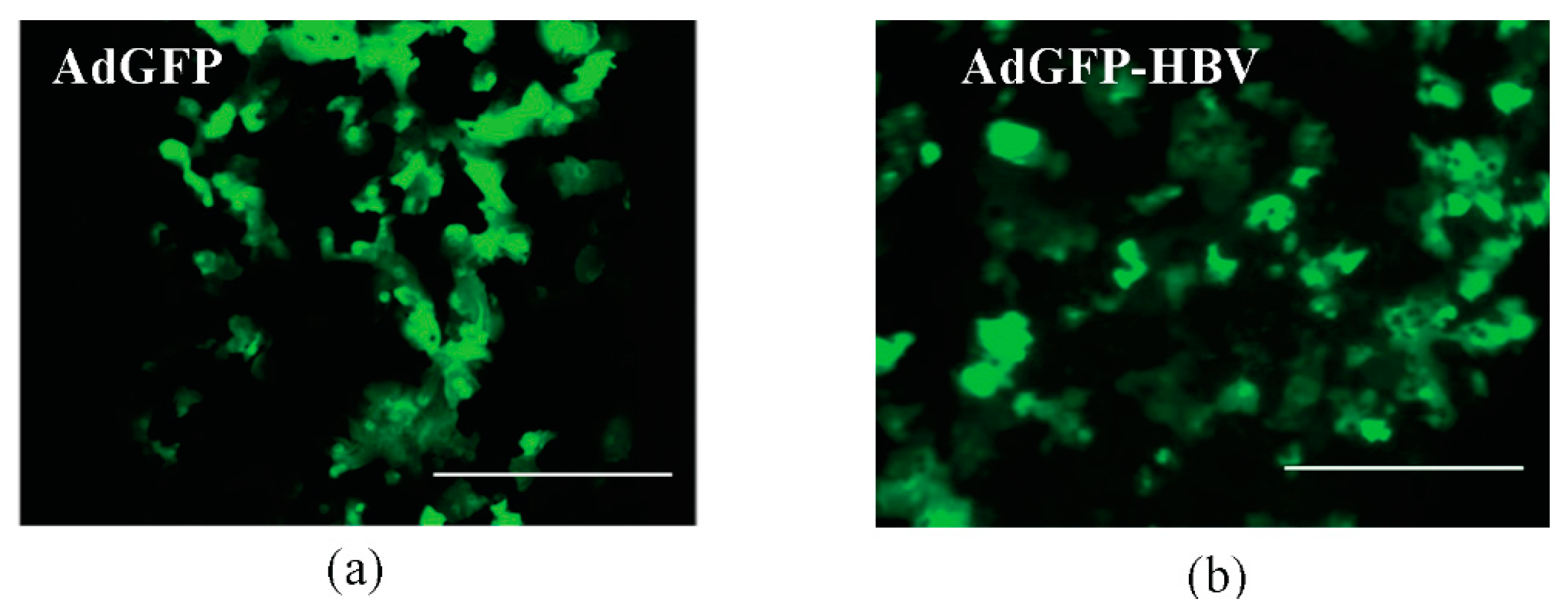 Micromachines 08 00027 g003