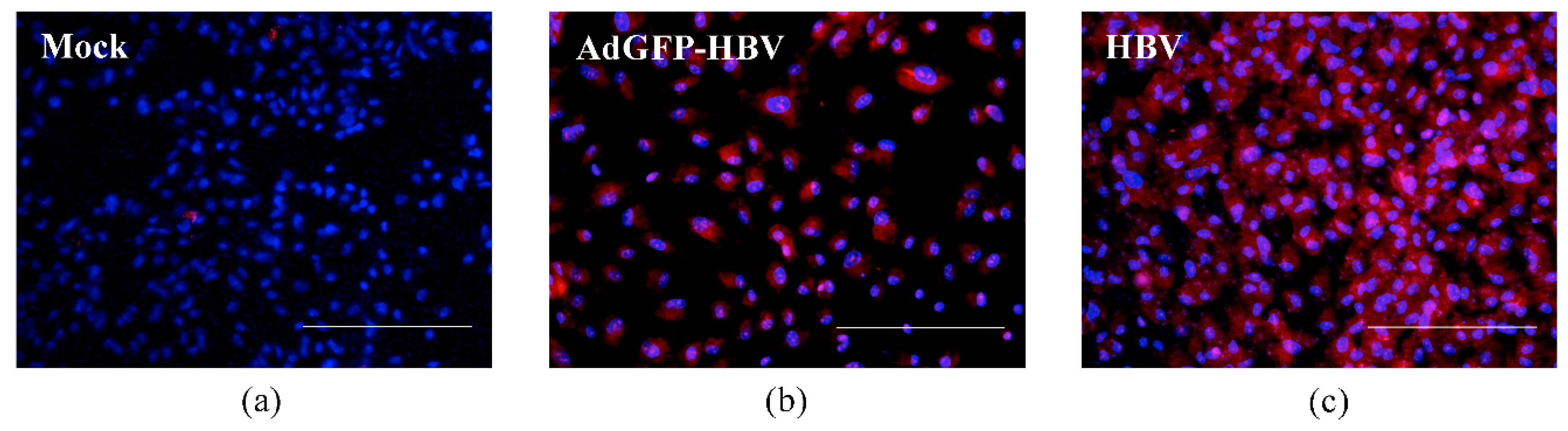 Micromachines 08 00027 g004