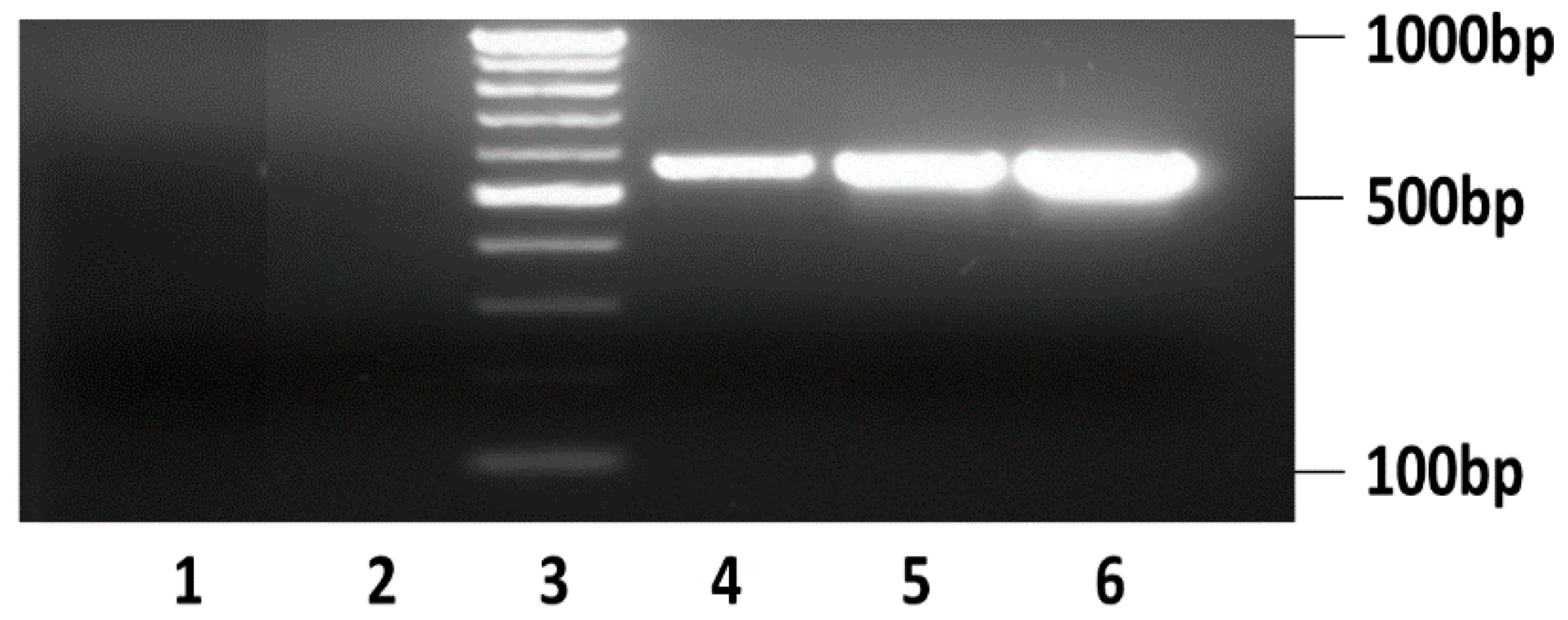 Micromachines 08 00027 g005