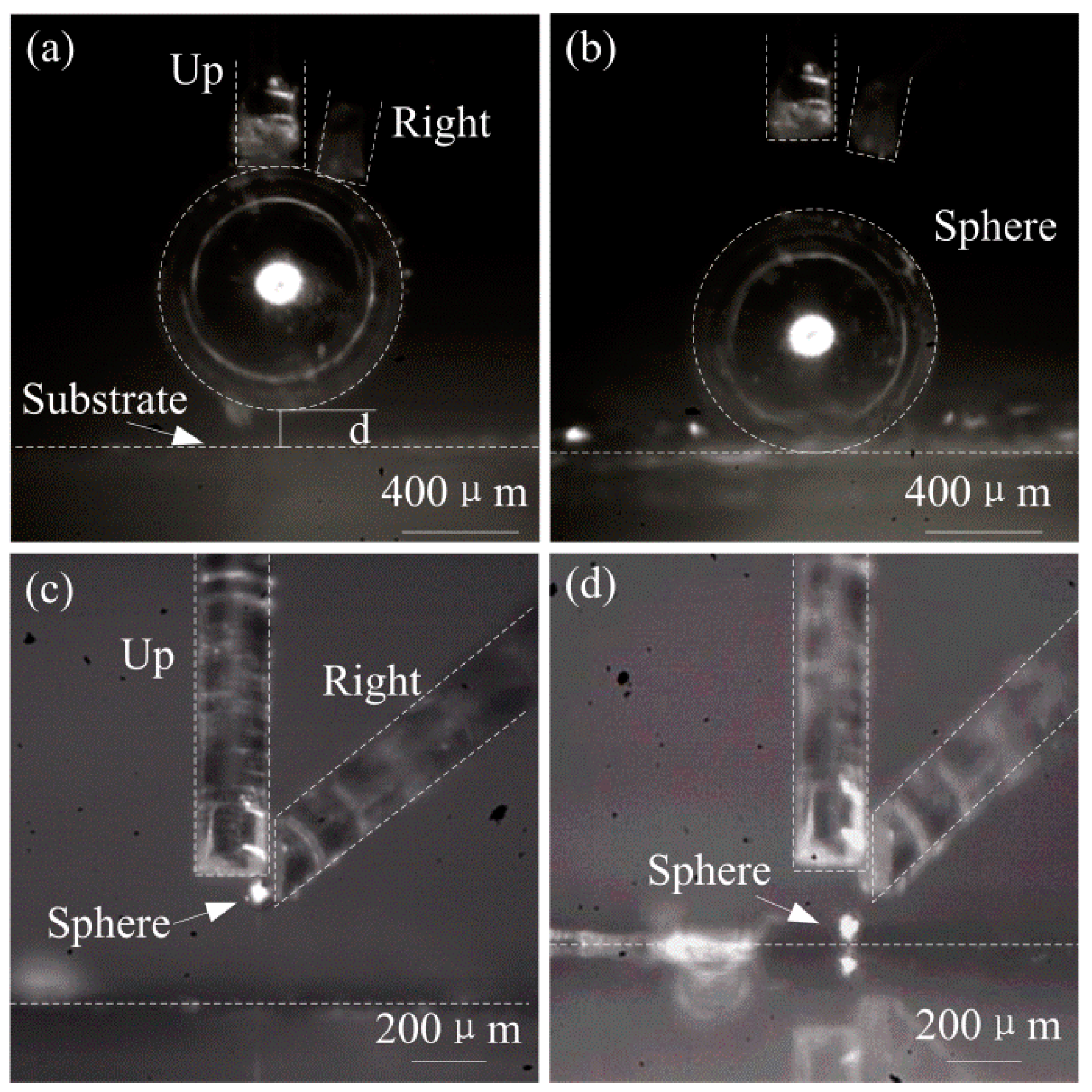 Micromachines 08 00033 g009