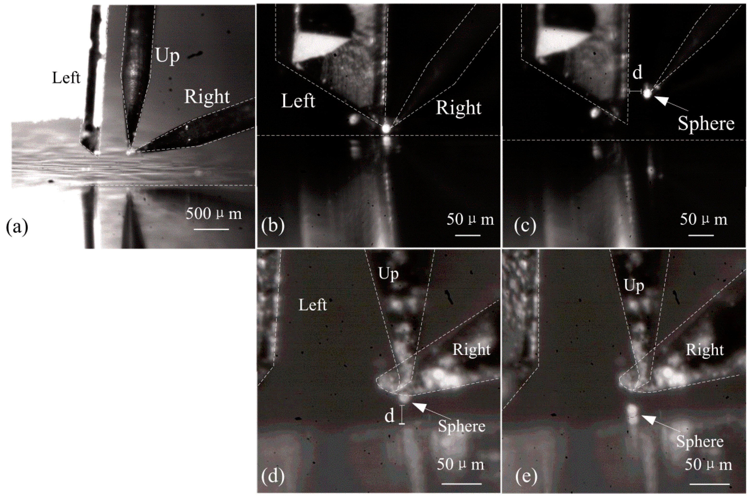 Micromachines 08 00033 g010