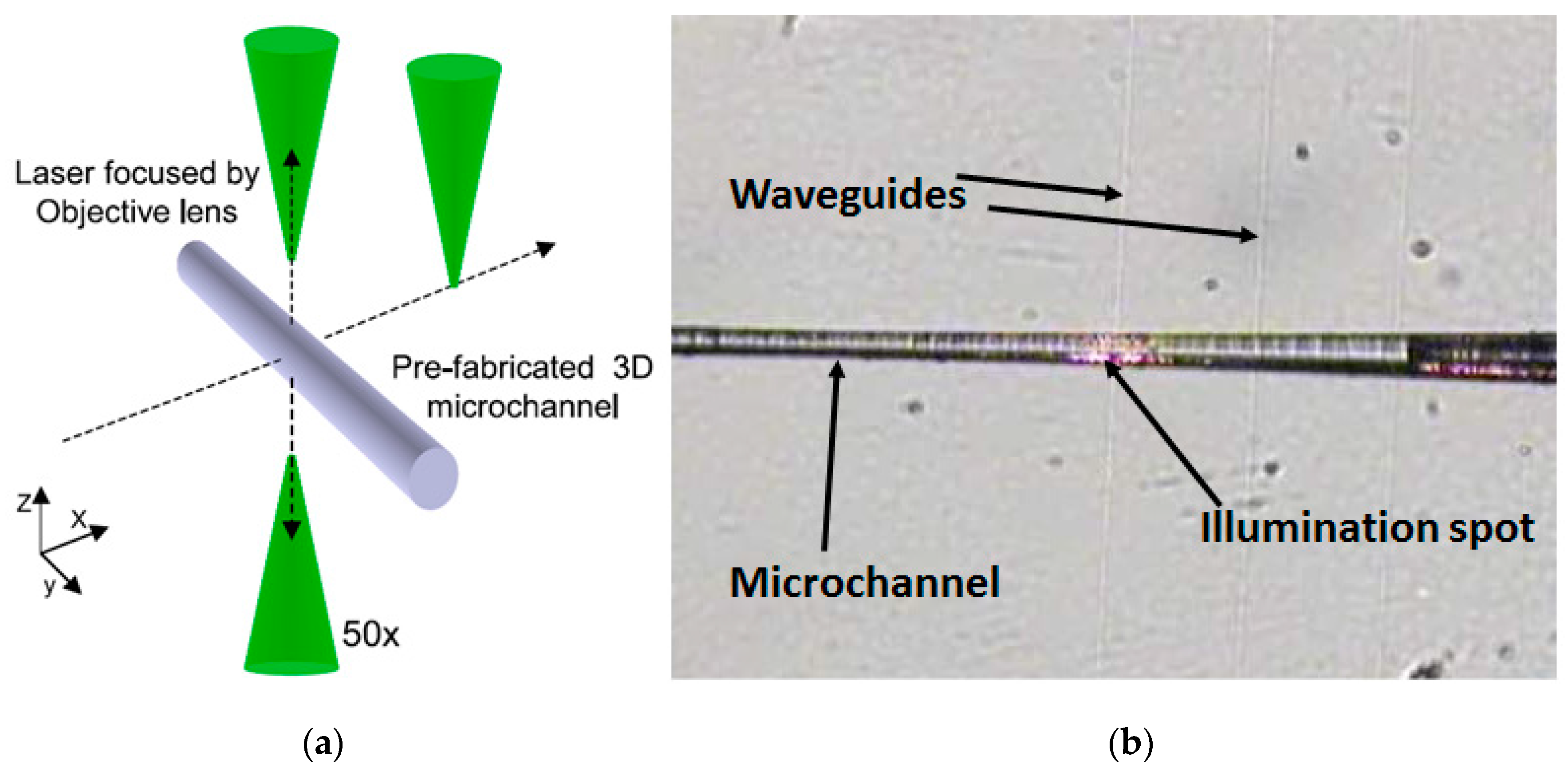 Micromachines 08 00040 g005