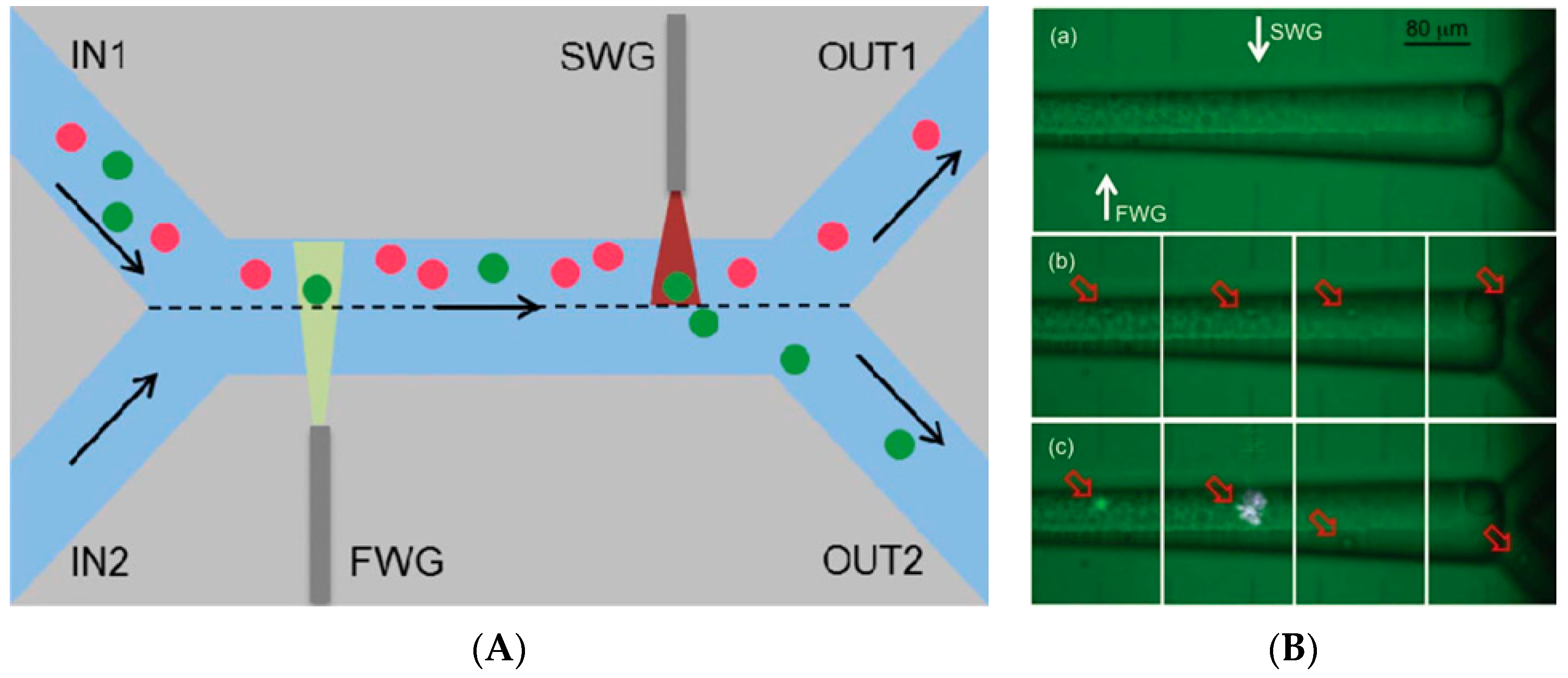 Micromachines 08 00040 g006