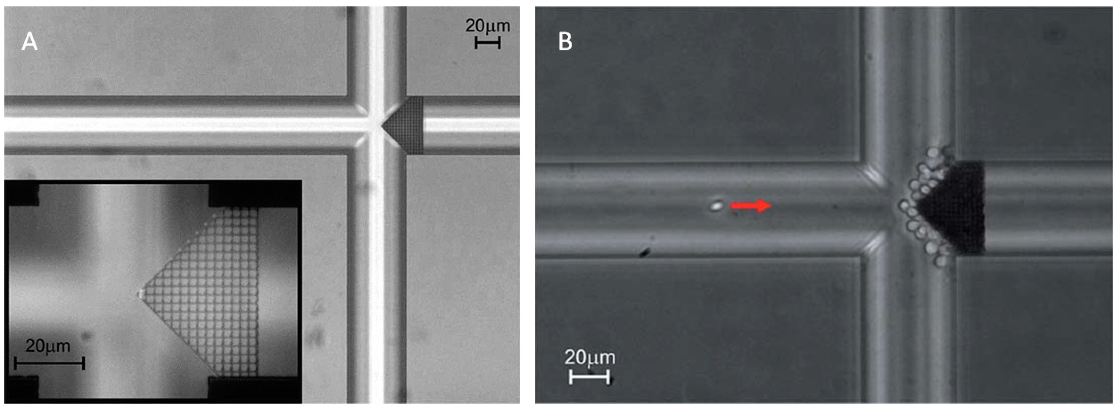 Micromachines 08 00040 g008