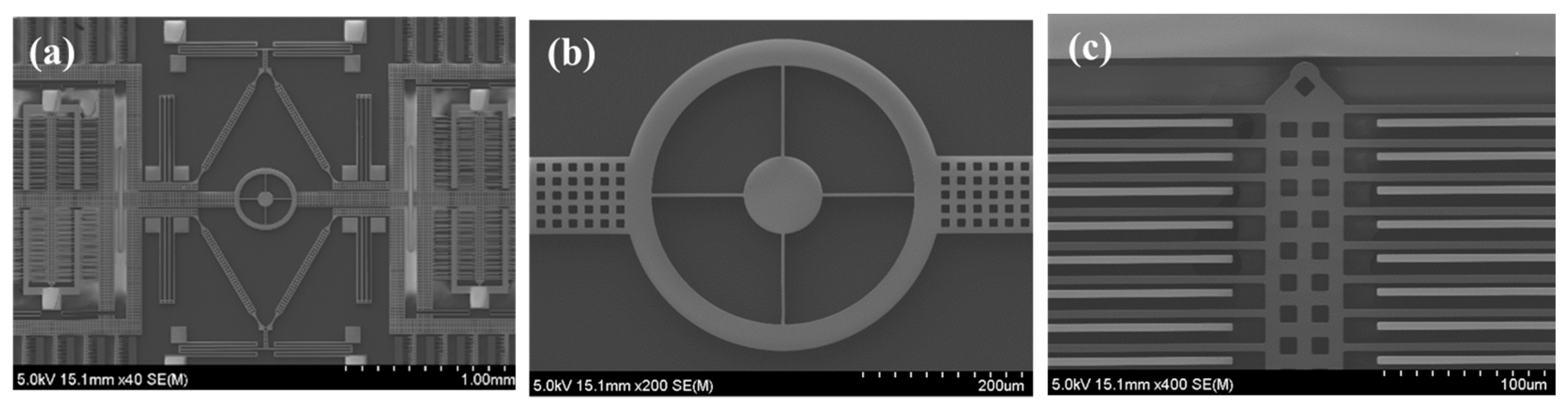 Micromachines 08 00042 g005