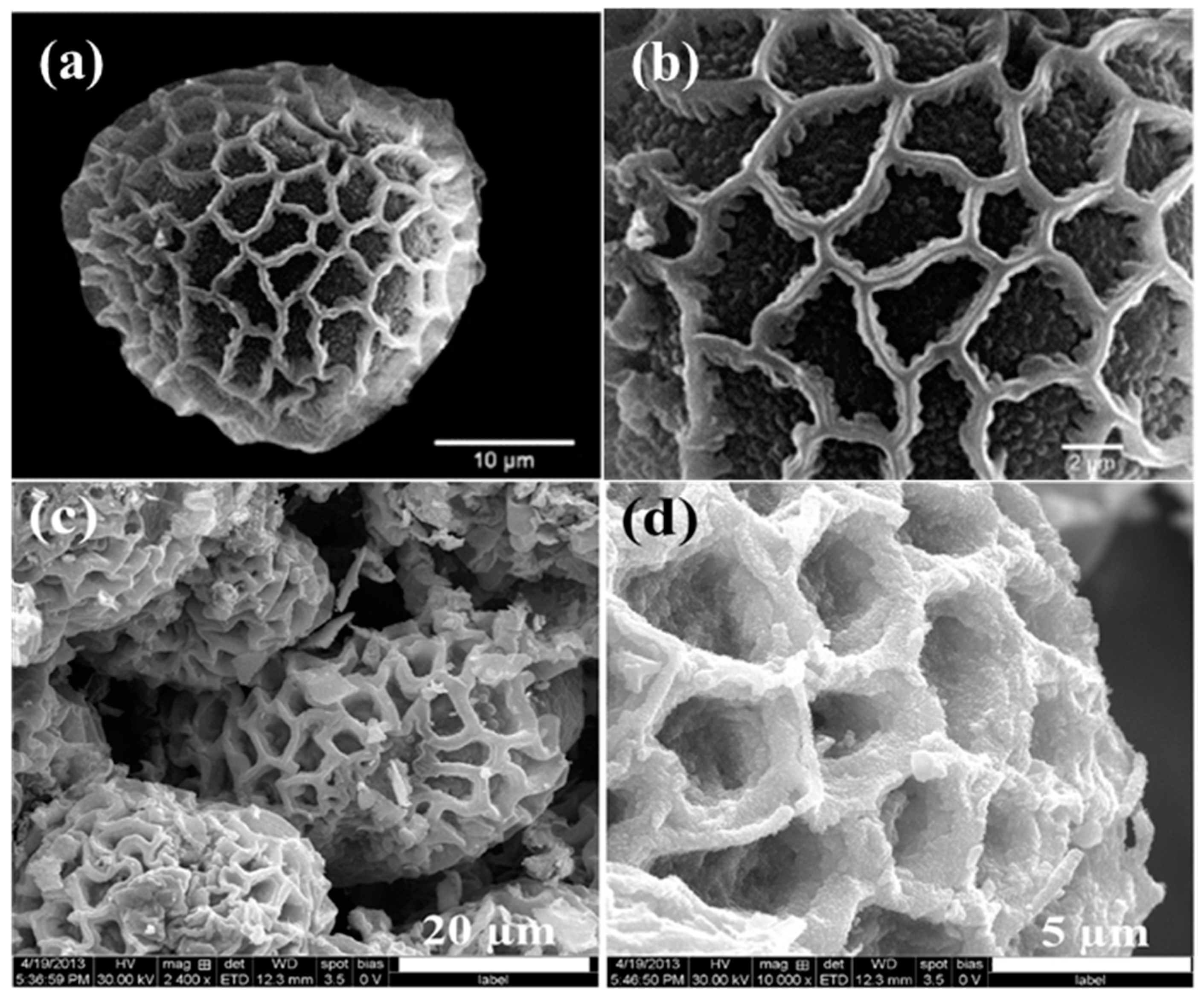 Micromachines 08 00047 g001