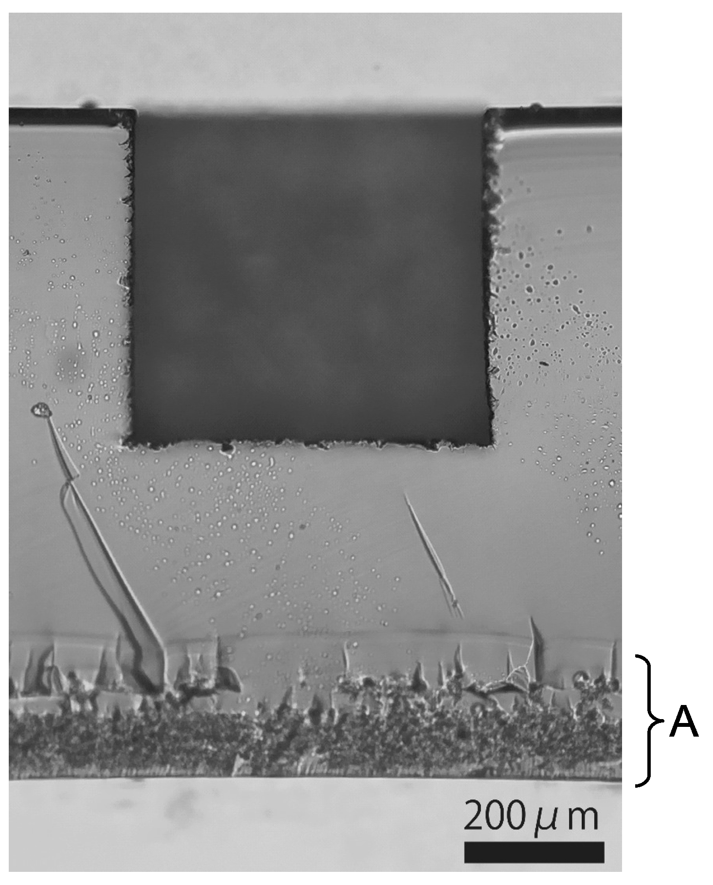 Micromachines 08 00048 g002