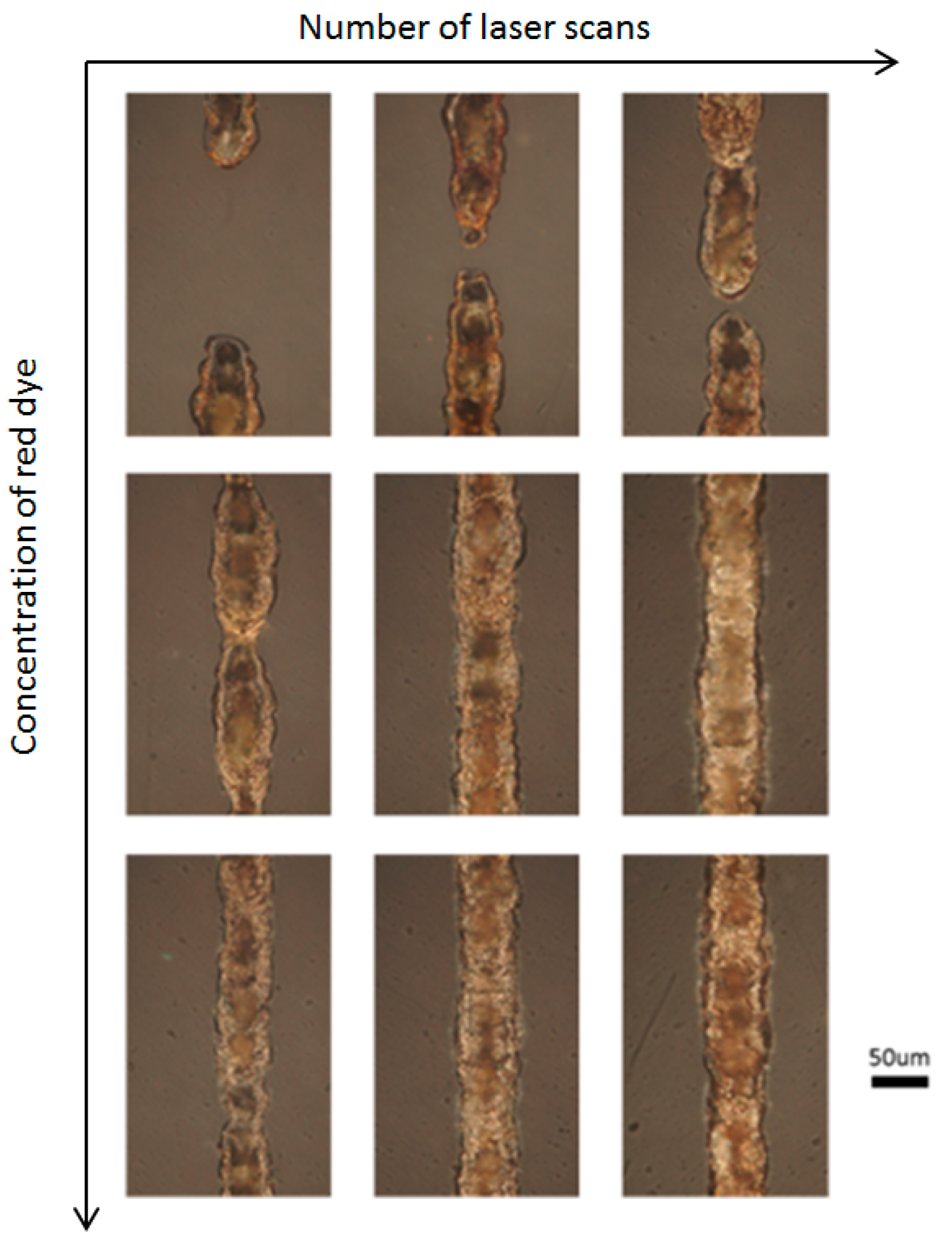 Micromachines 08 00052 g003