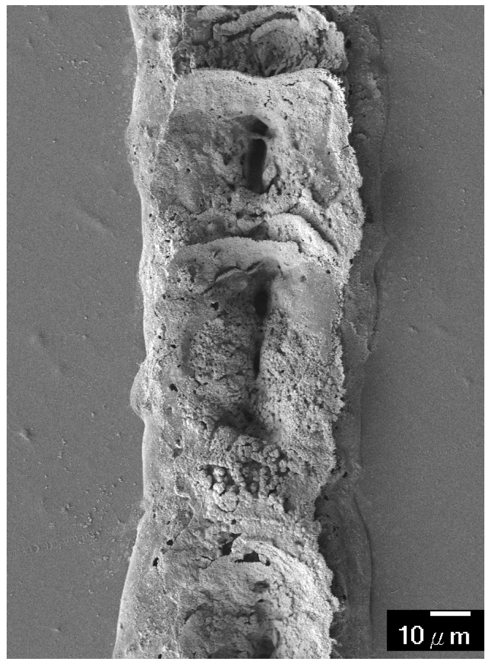 Micromachines 08 00052 g005