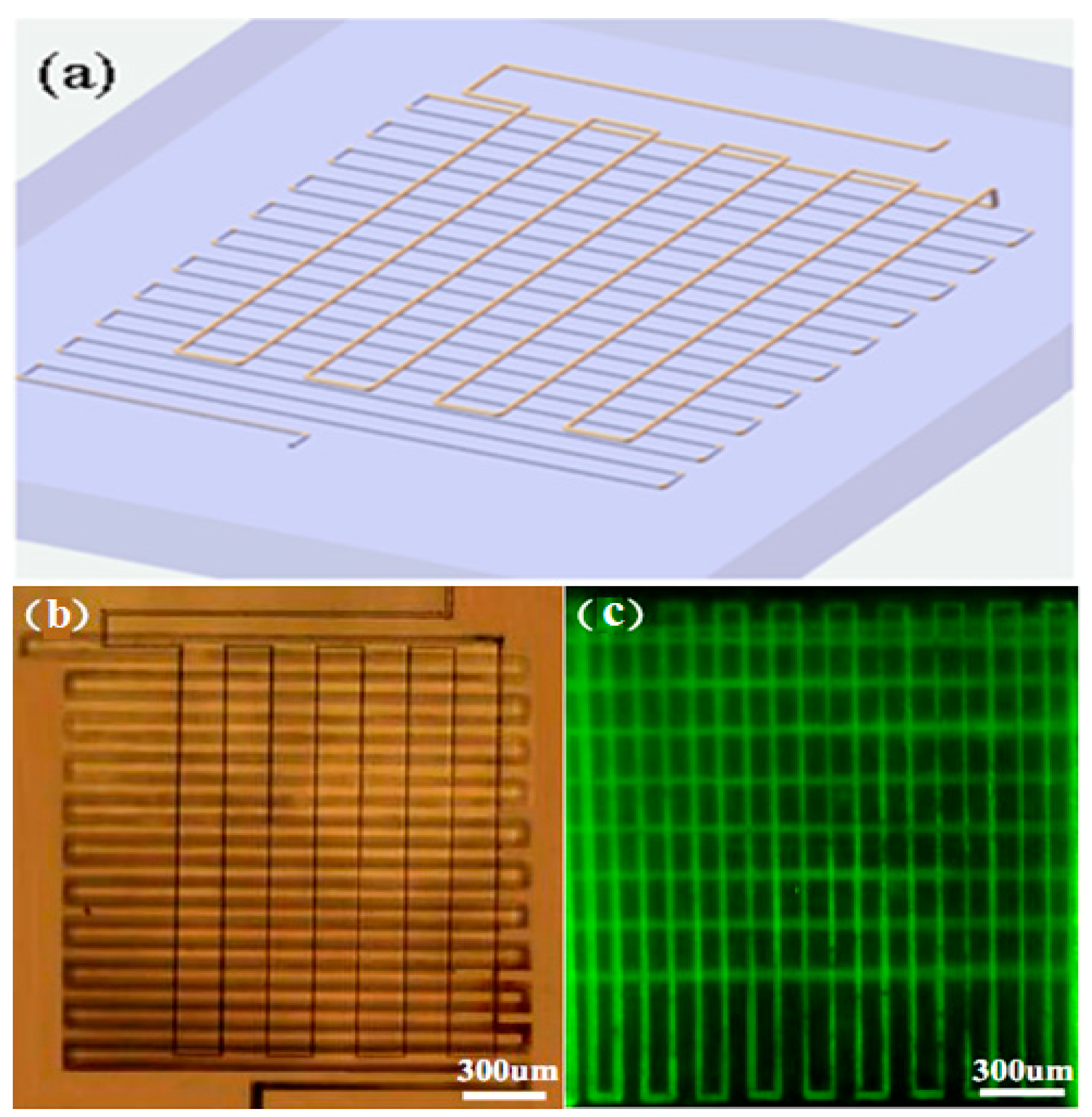 Micromachines 08 00059 g002