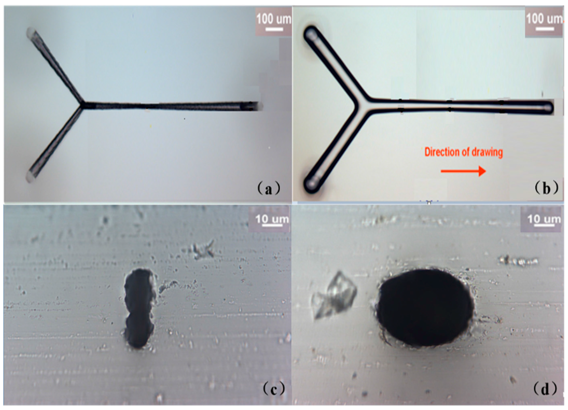 Micromachines 08 00059 g004