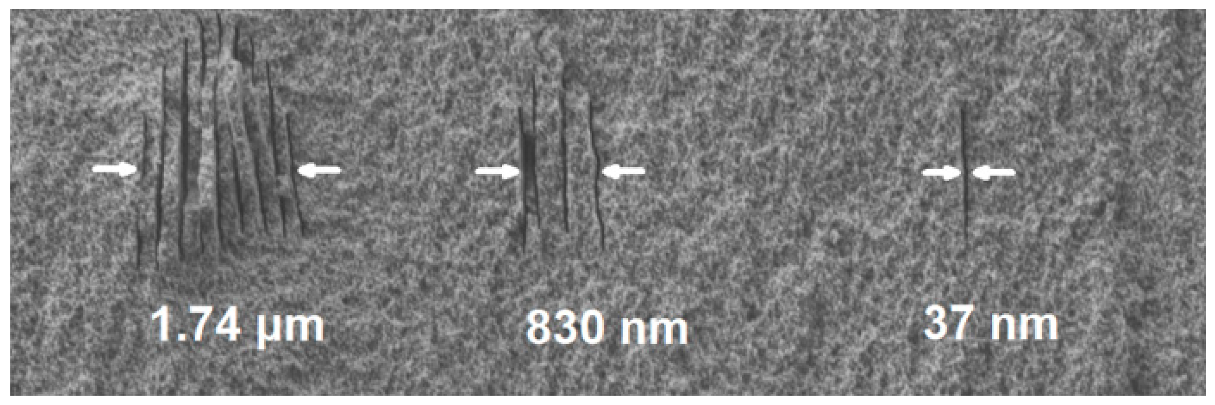 Micromachines 08 00059 g008