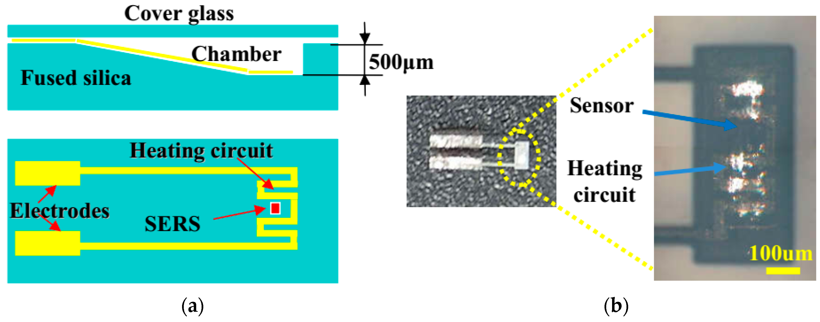 Micromachines 08 00059 g010