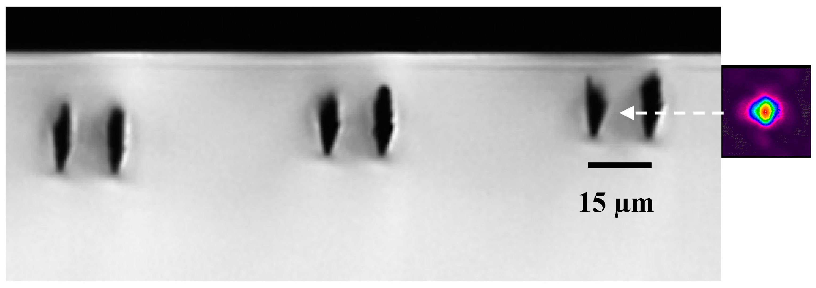 Micromachines 08 00060 g003