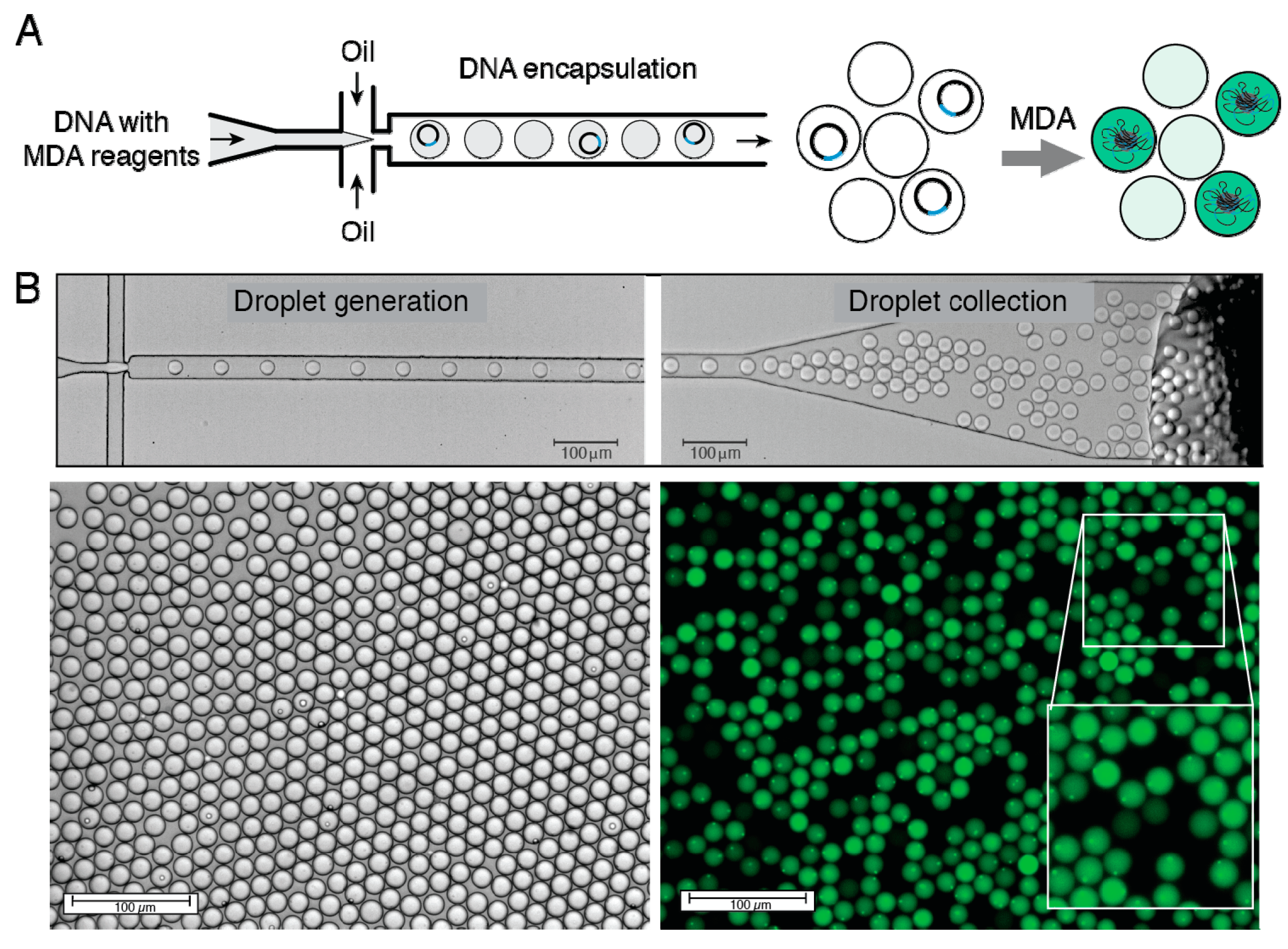 Micromachines 08 00062 g002