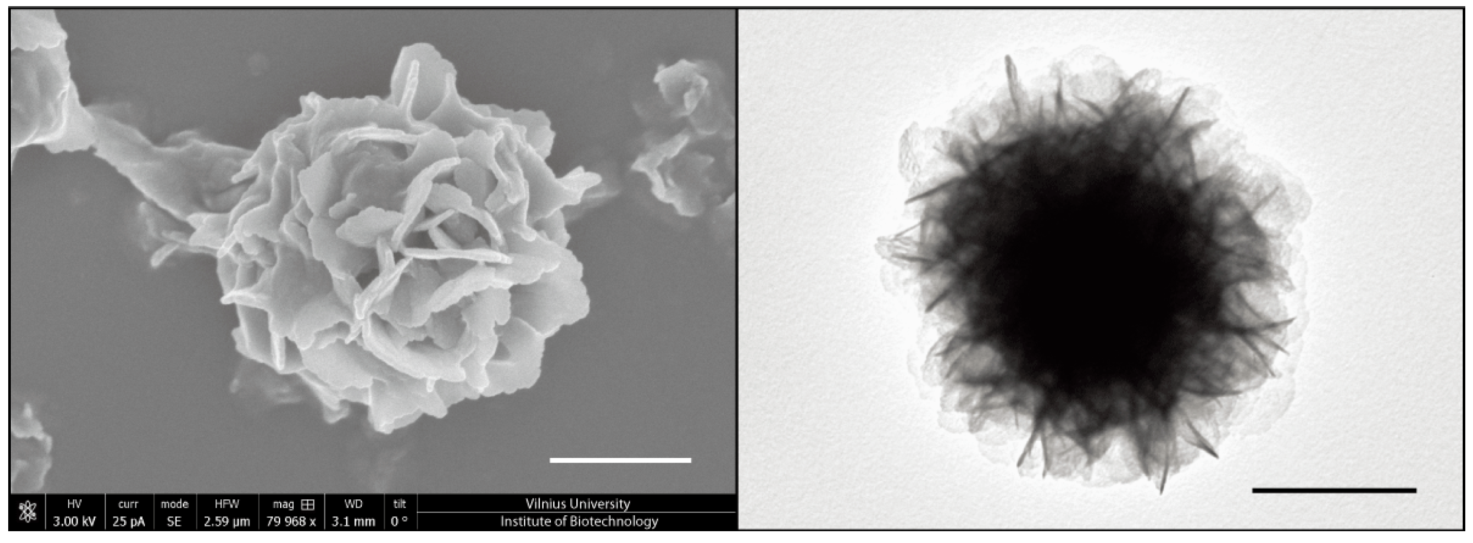 Micromachines 08 00062 g003