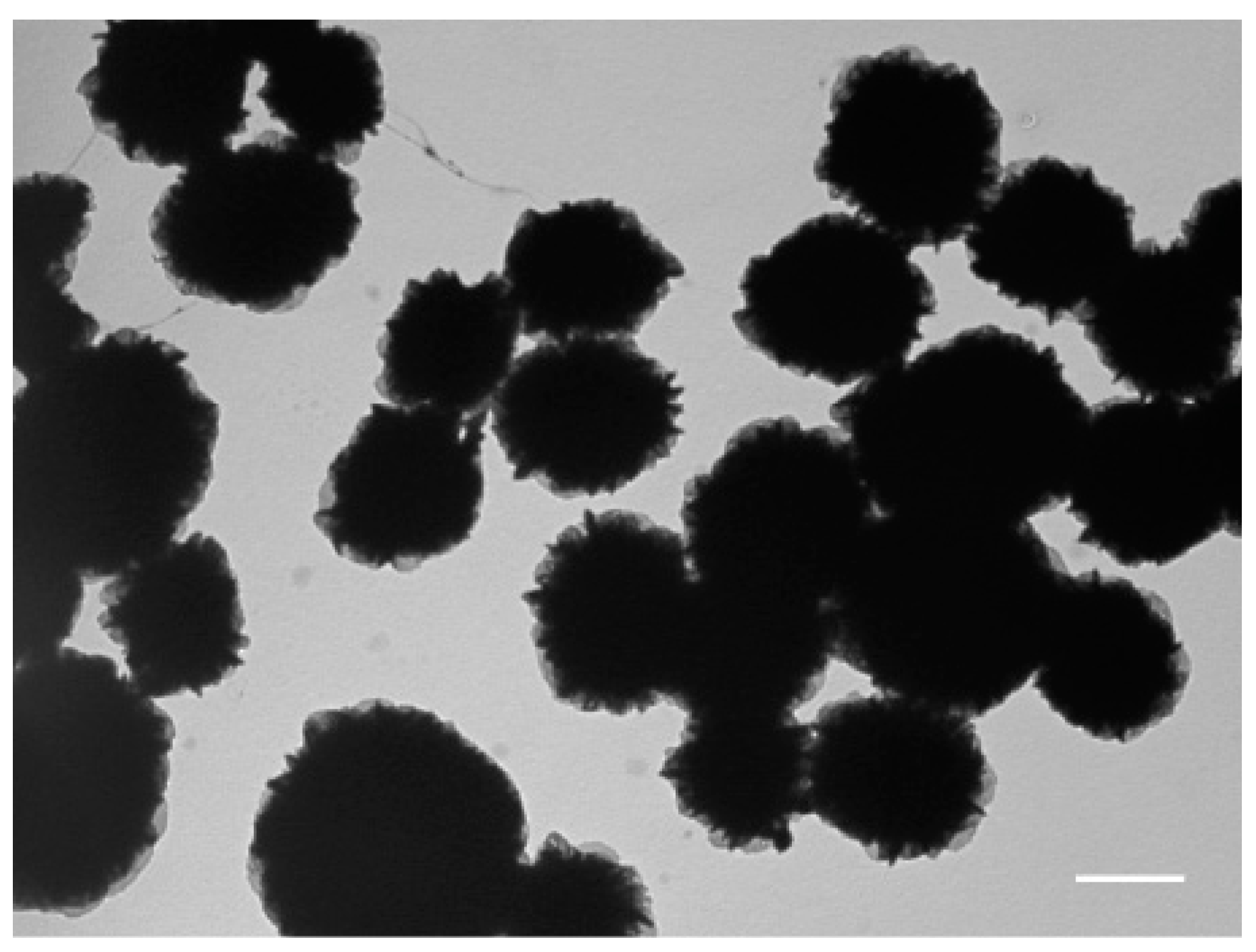 Micromachines 08 00062 g006