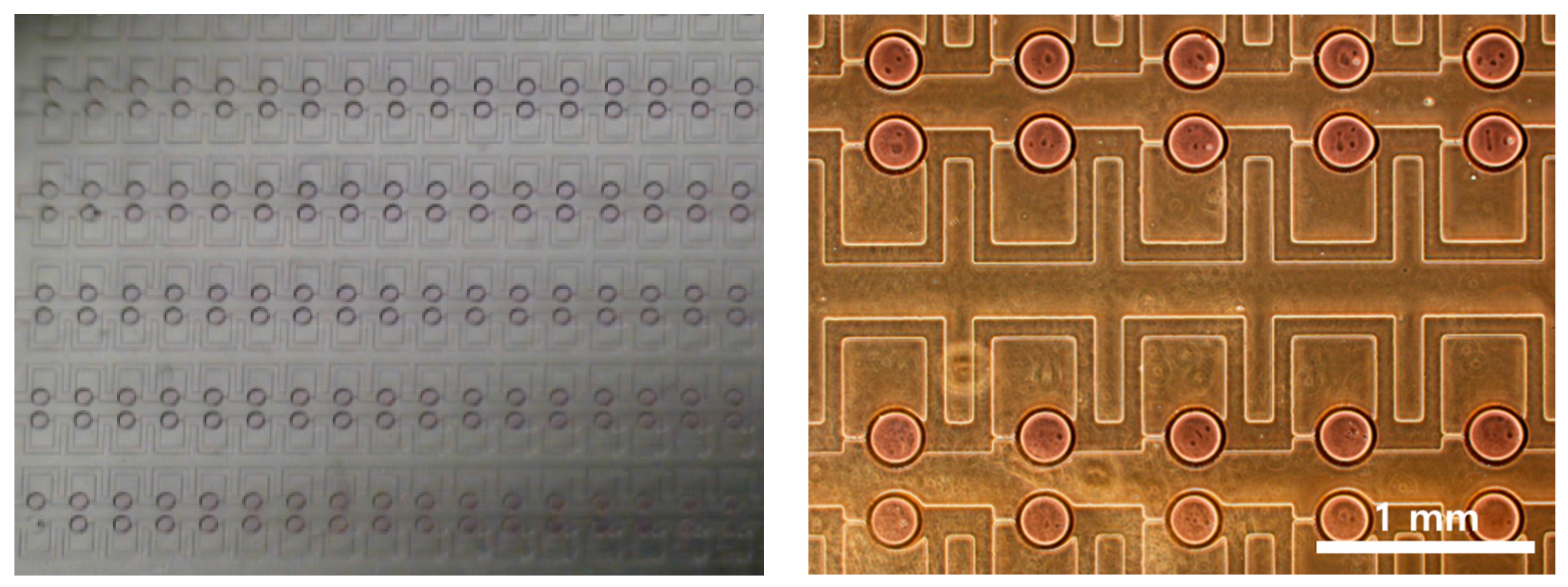 Micromachines 08 00063 g003