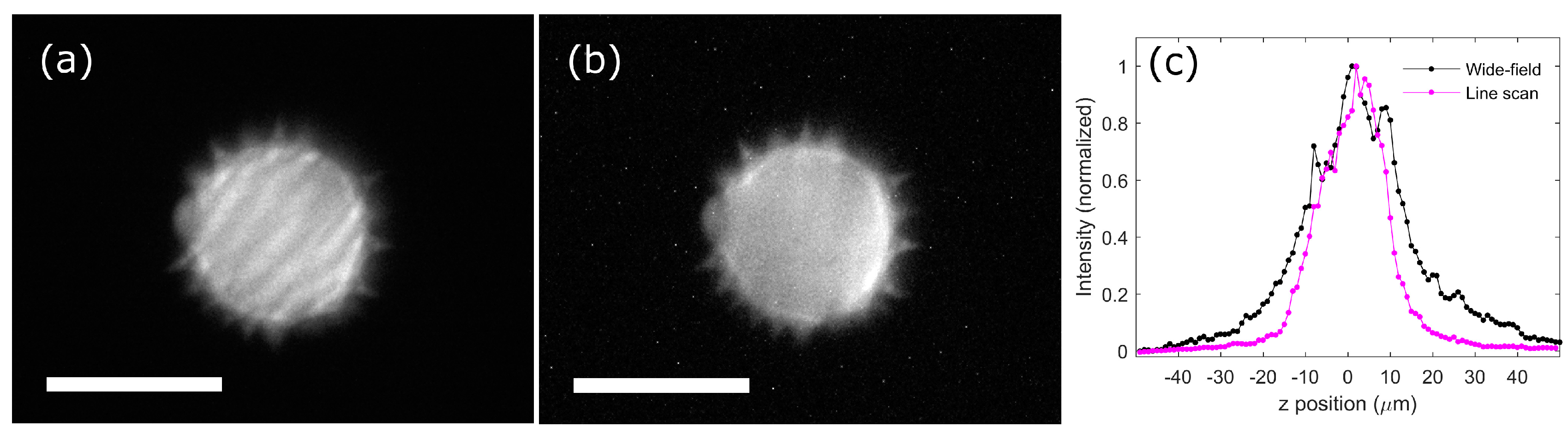 Micromachines 08 00085 g004