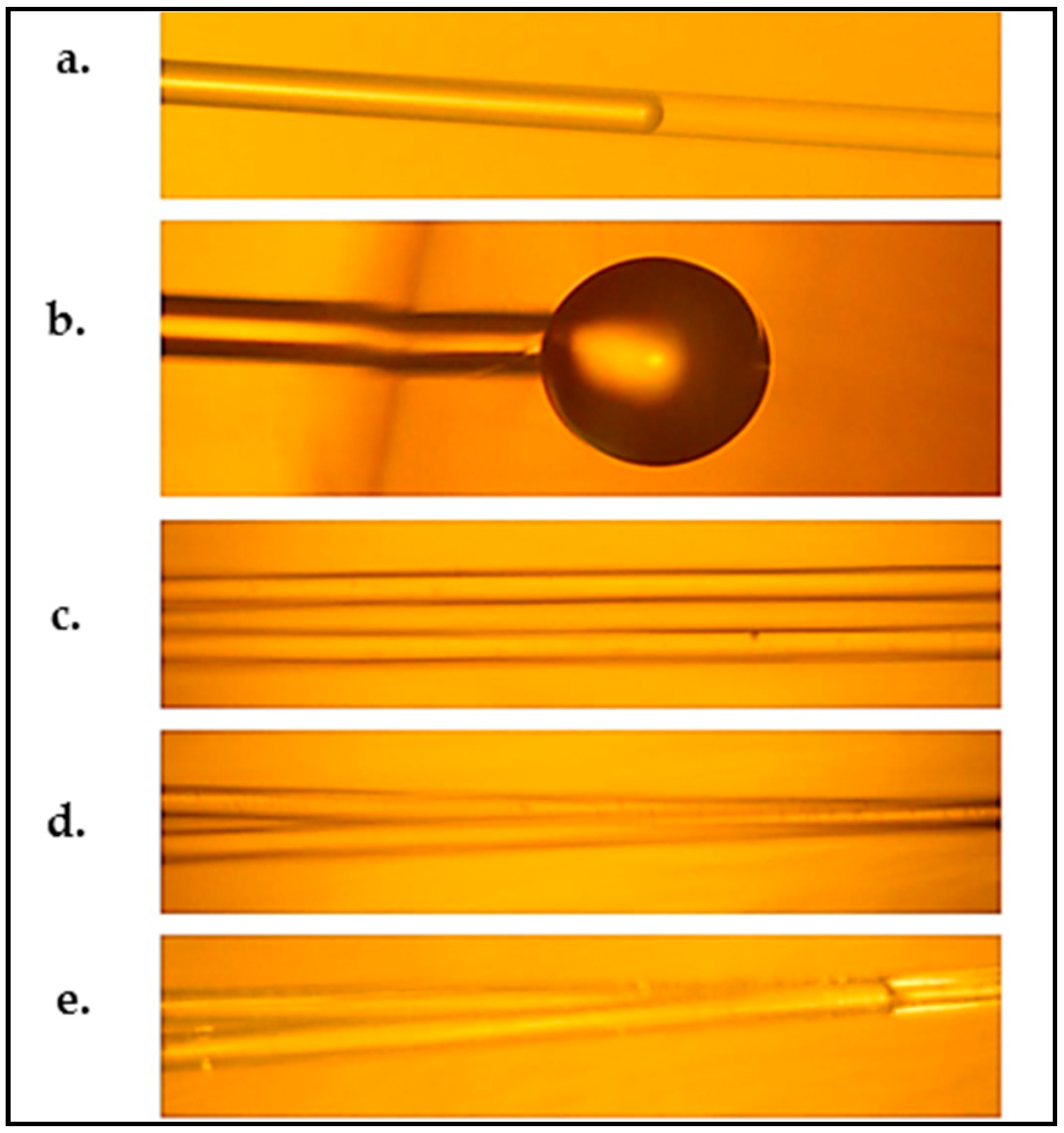 Micromachines 08 00098 g006