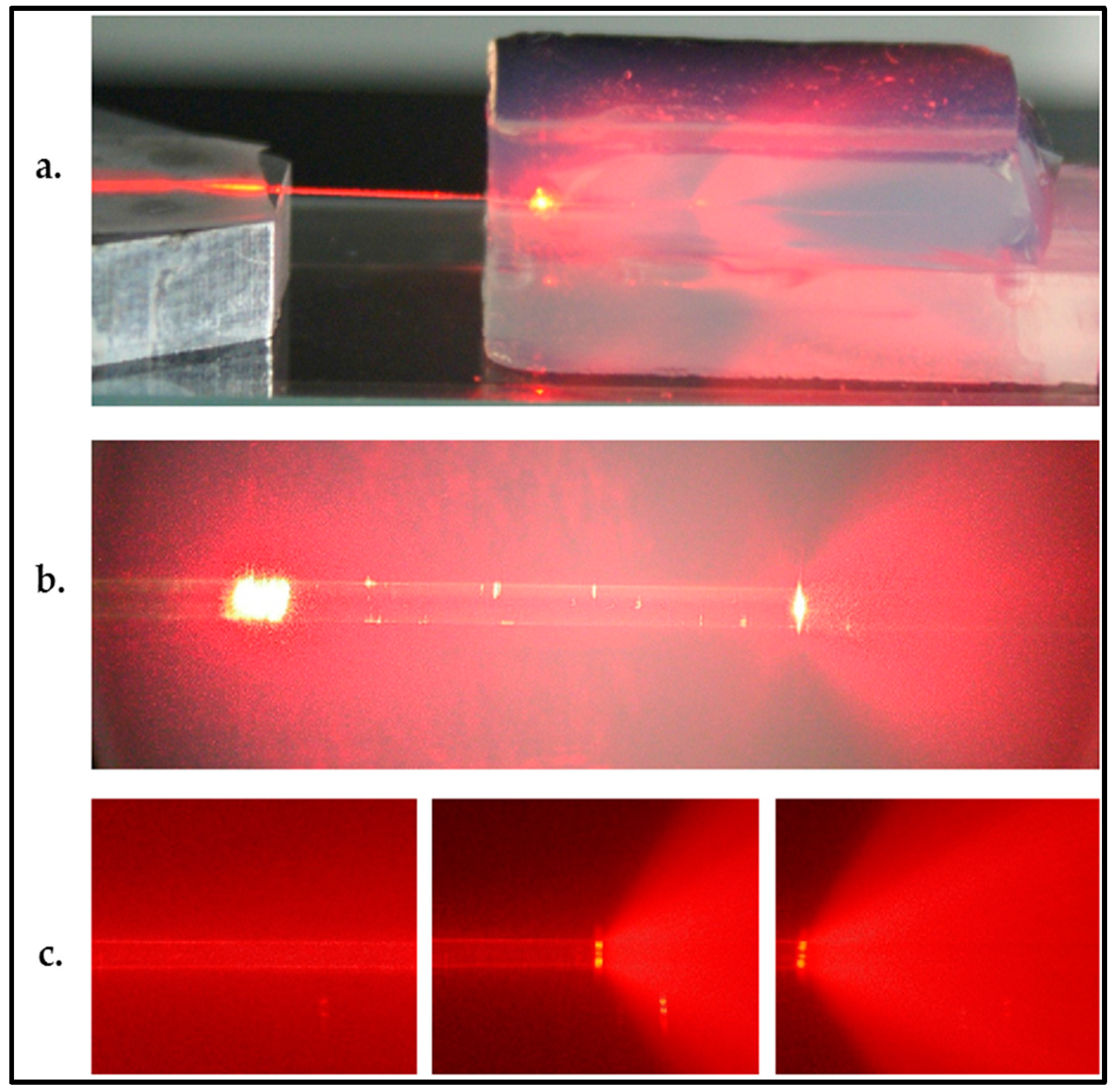 Micromachines 08 00098 g011