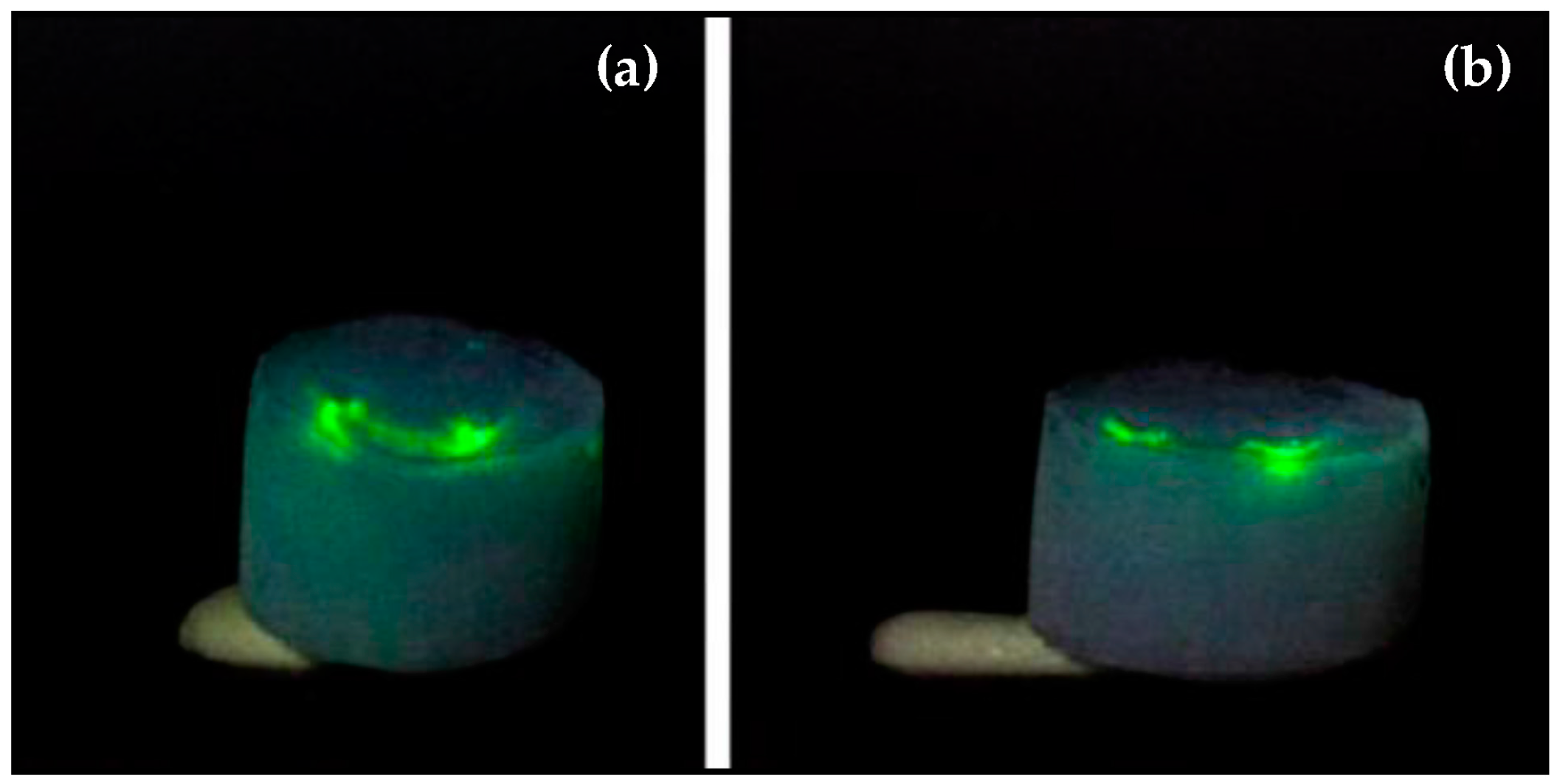 Micromachines 08 00098 g014