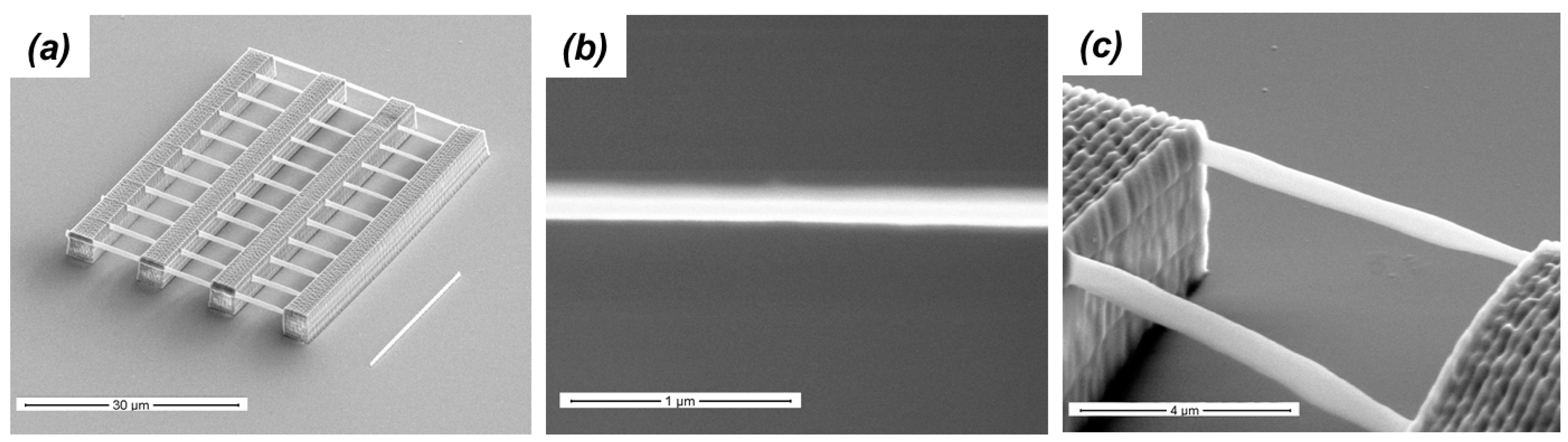 Micromachines 08 00101 g004