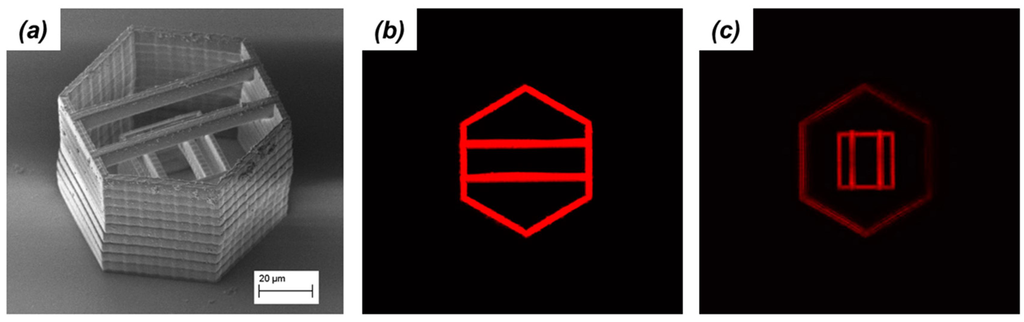 Micromachines 08 00101 g010